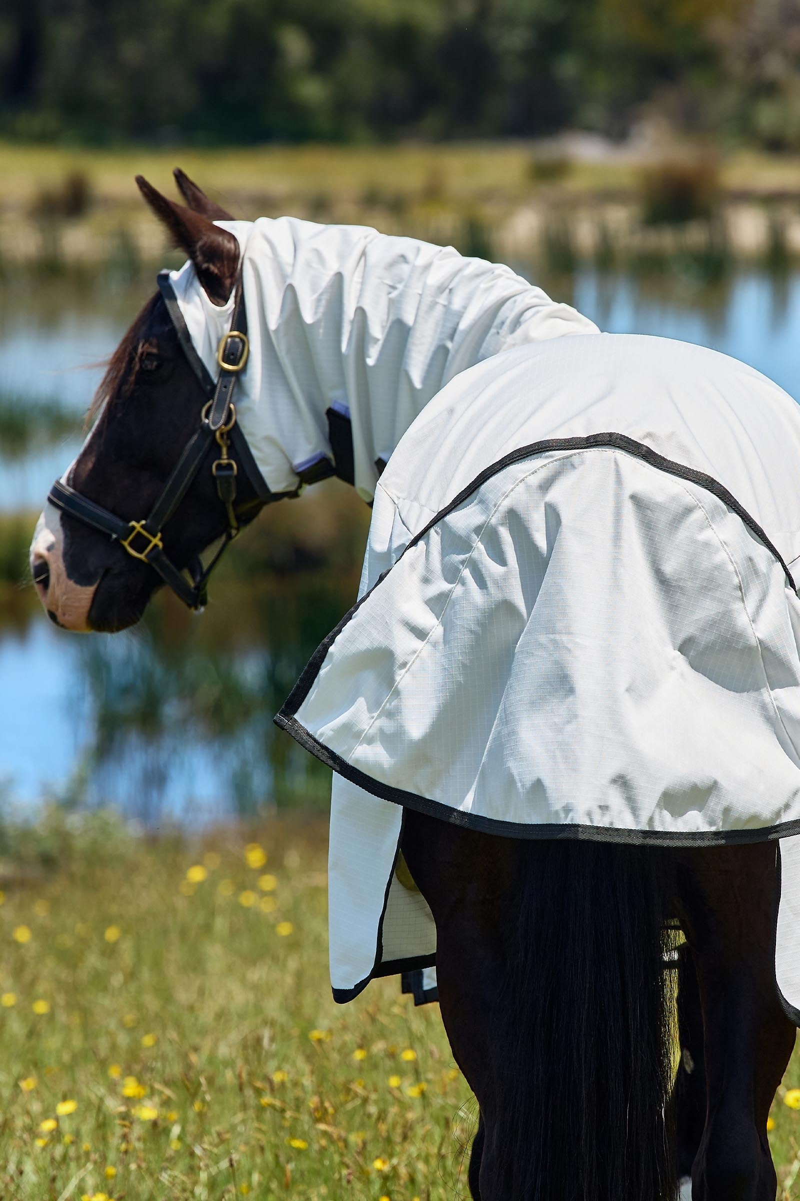 Weatherbeeta Comfitec Sweet Itch Shield Fly Sheet Combo W. Fixed Neck, 0g Horse Rugs