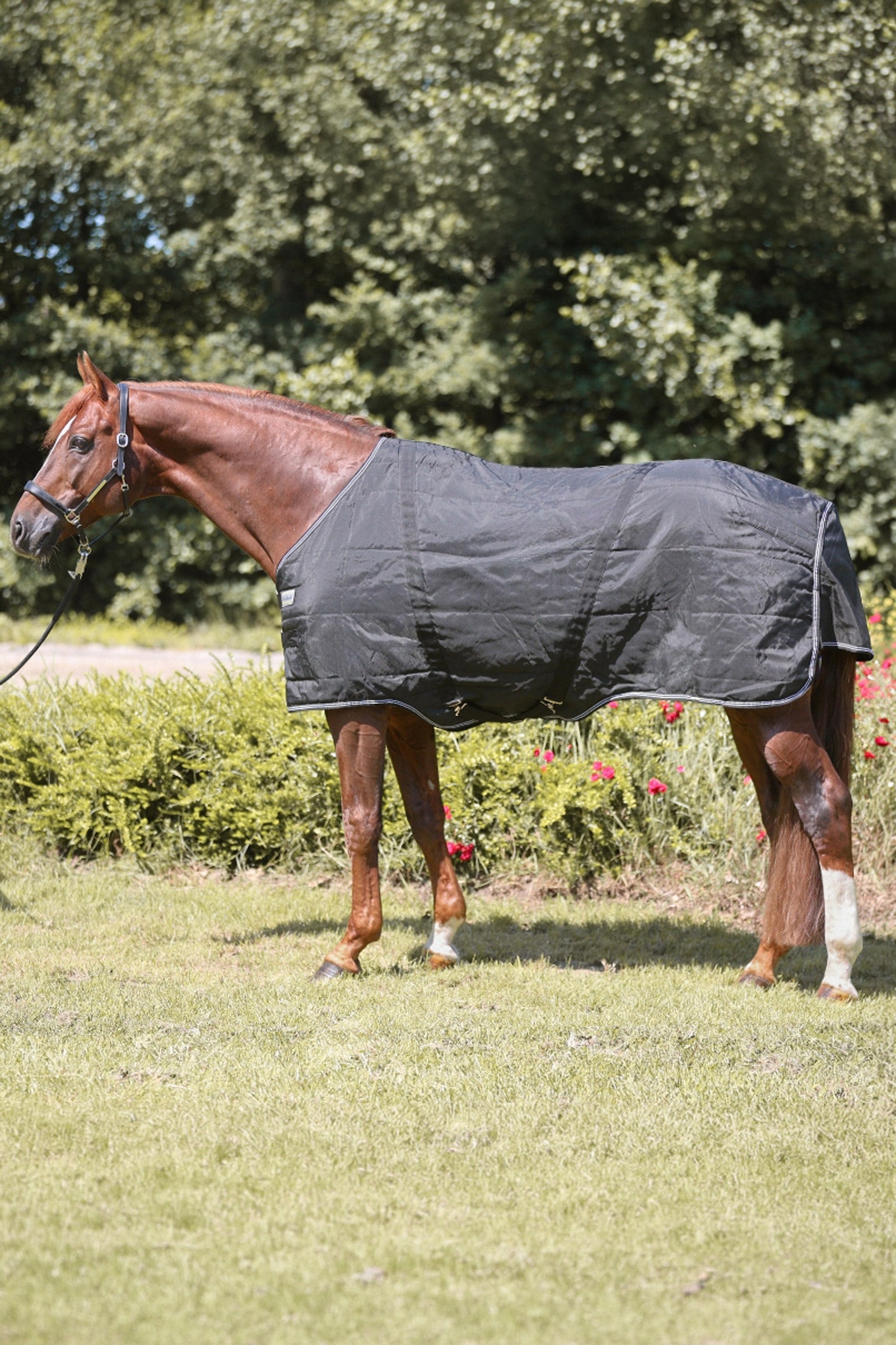 Kavalkade Stallion Rug, 200 g Horse Rugs