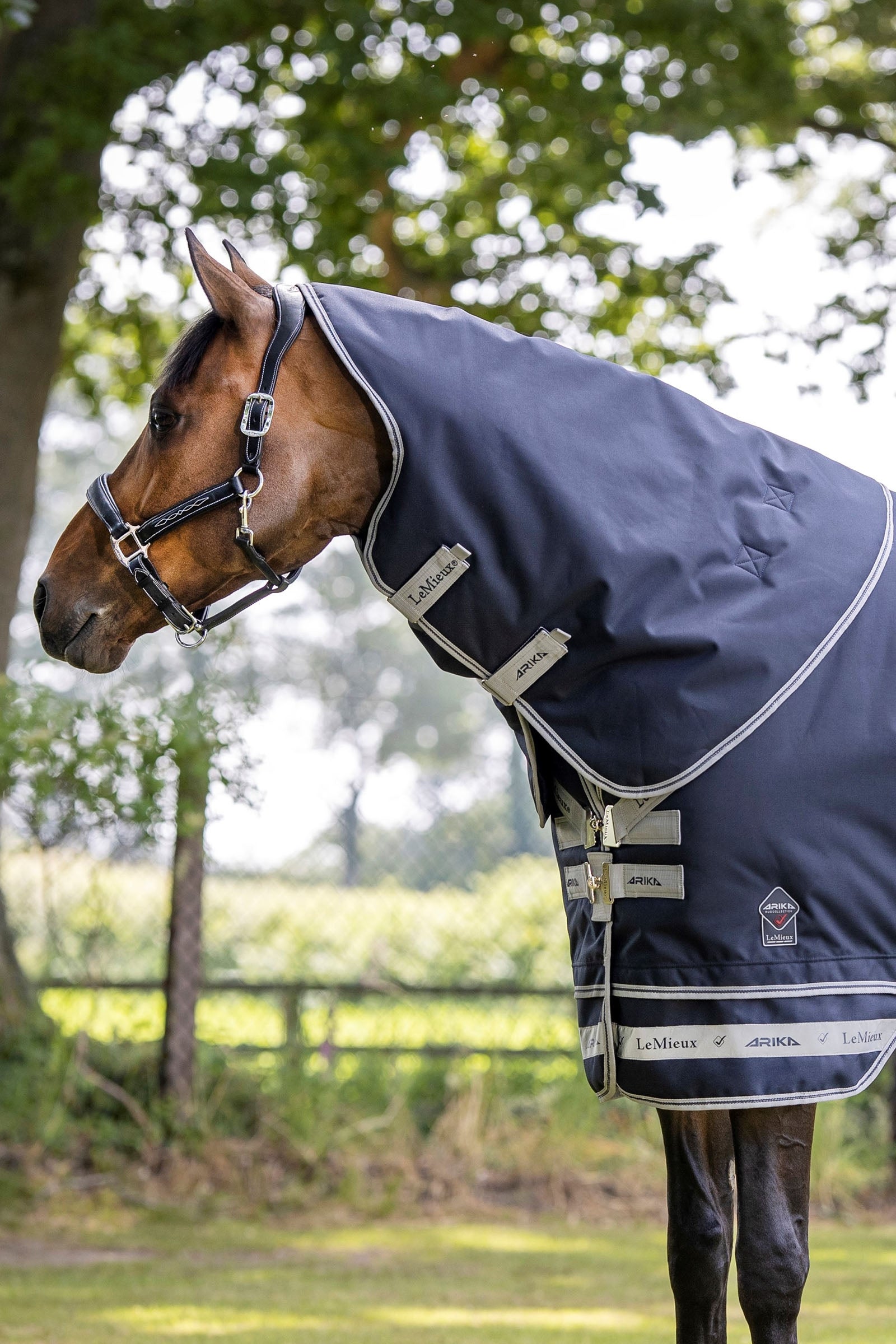 LeMieux Arika Storm-Tek Rug, 50 g Horse Rugs