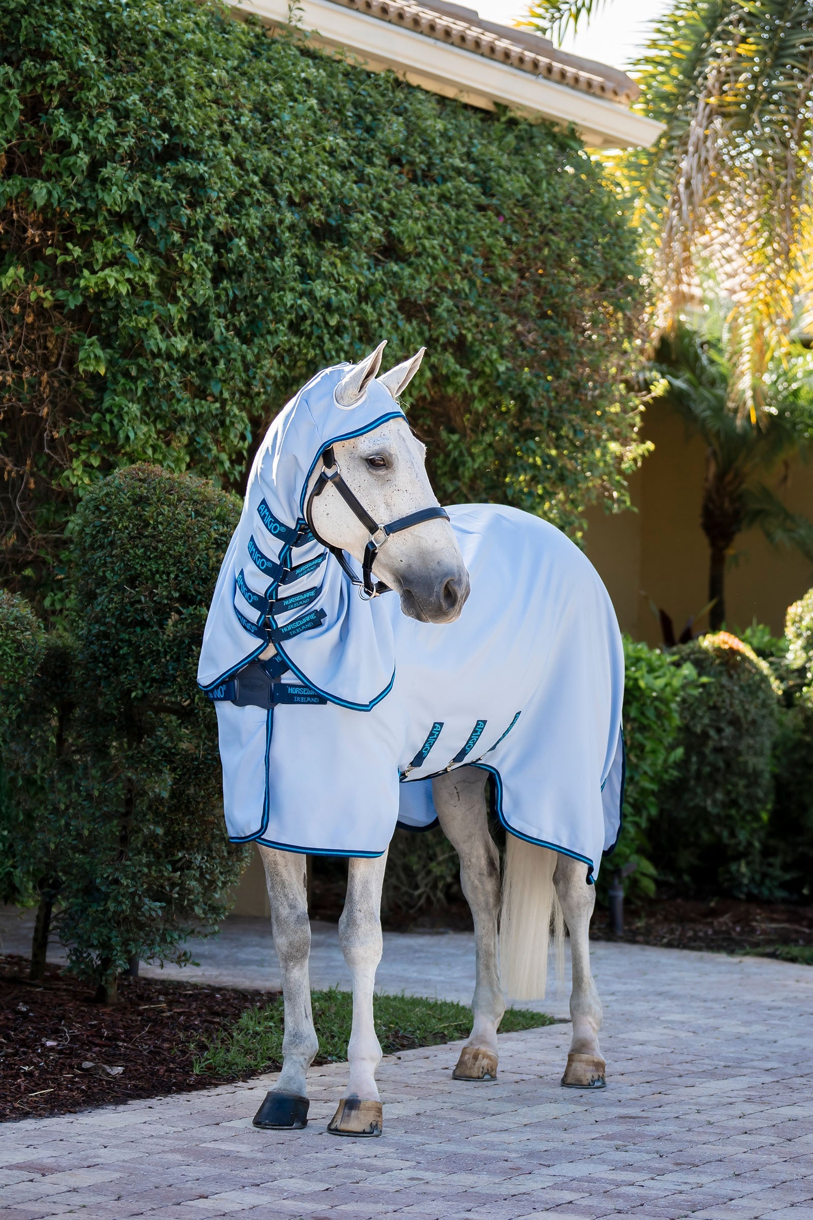 Horseware Amigo Ripstop Hoody Horse Rugs