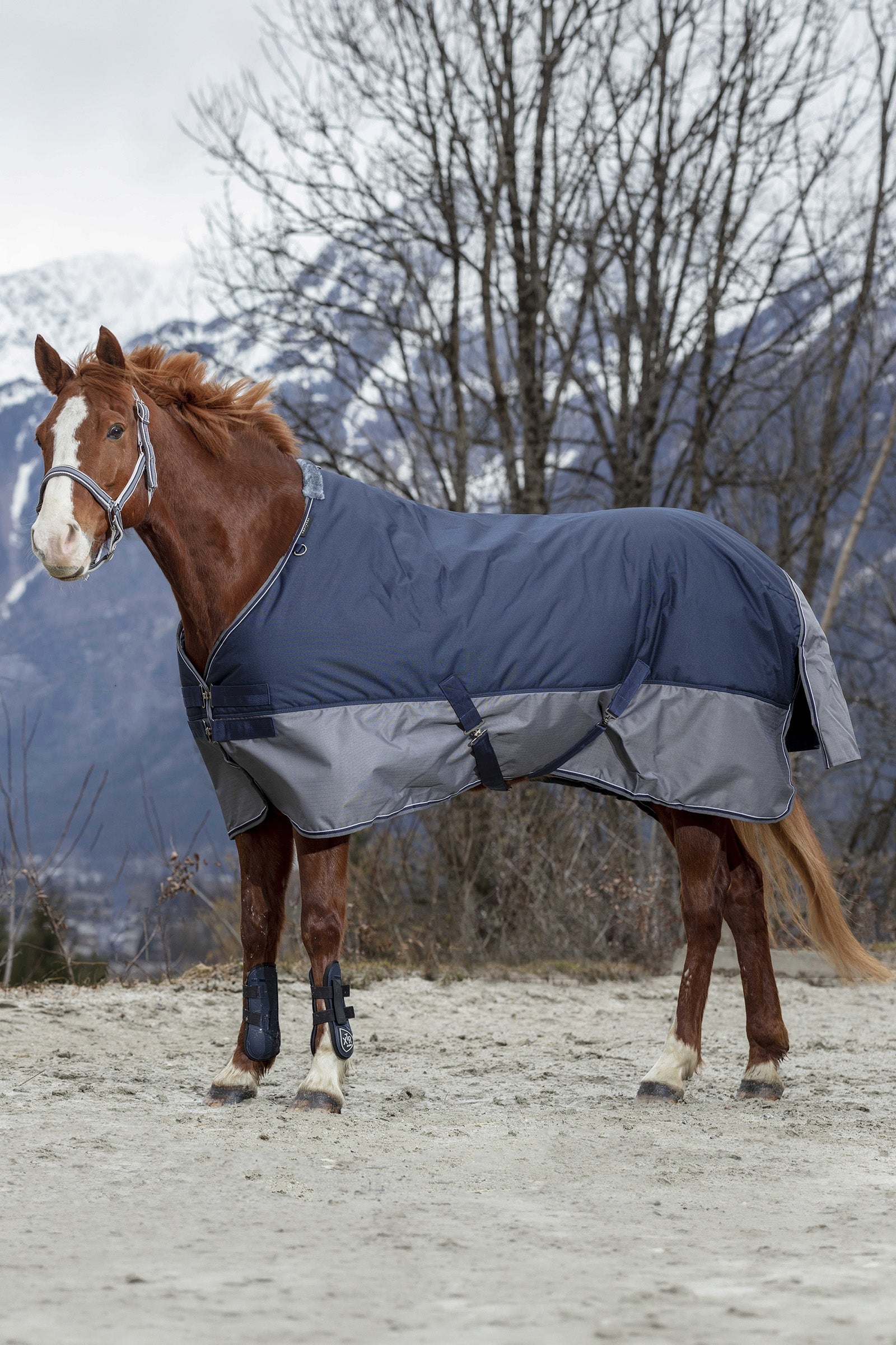 Equi Theme EQUITHÈME TYREX 600D Turnout Rug, 300 g Horse Rugs