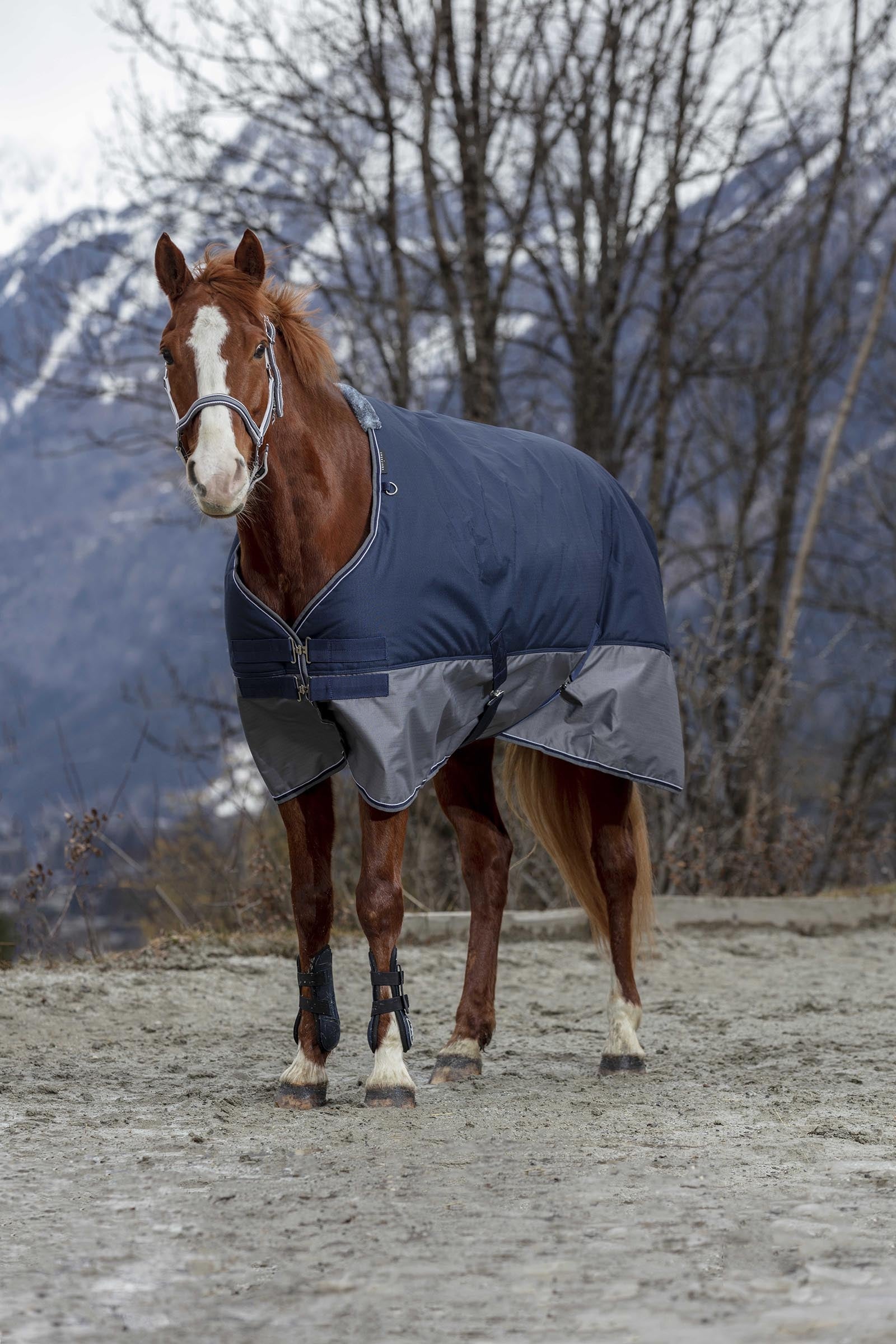 Equi Theme EQUITHÈME TYREX 600D Turnout Rug, 300 g Horse Rugs