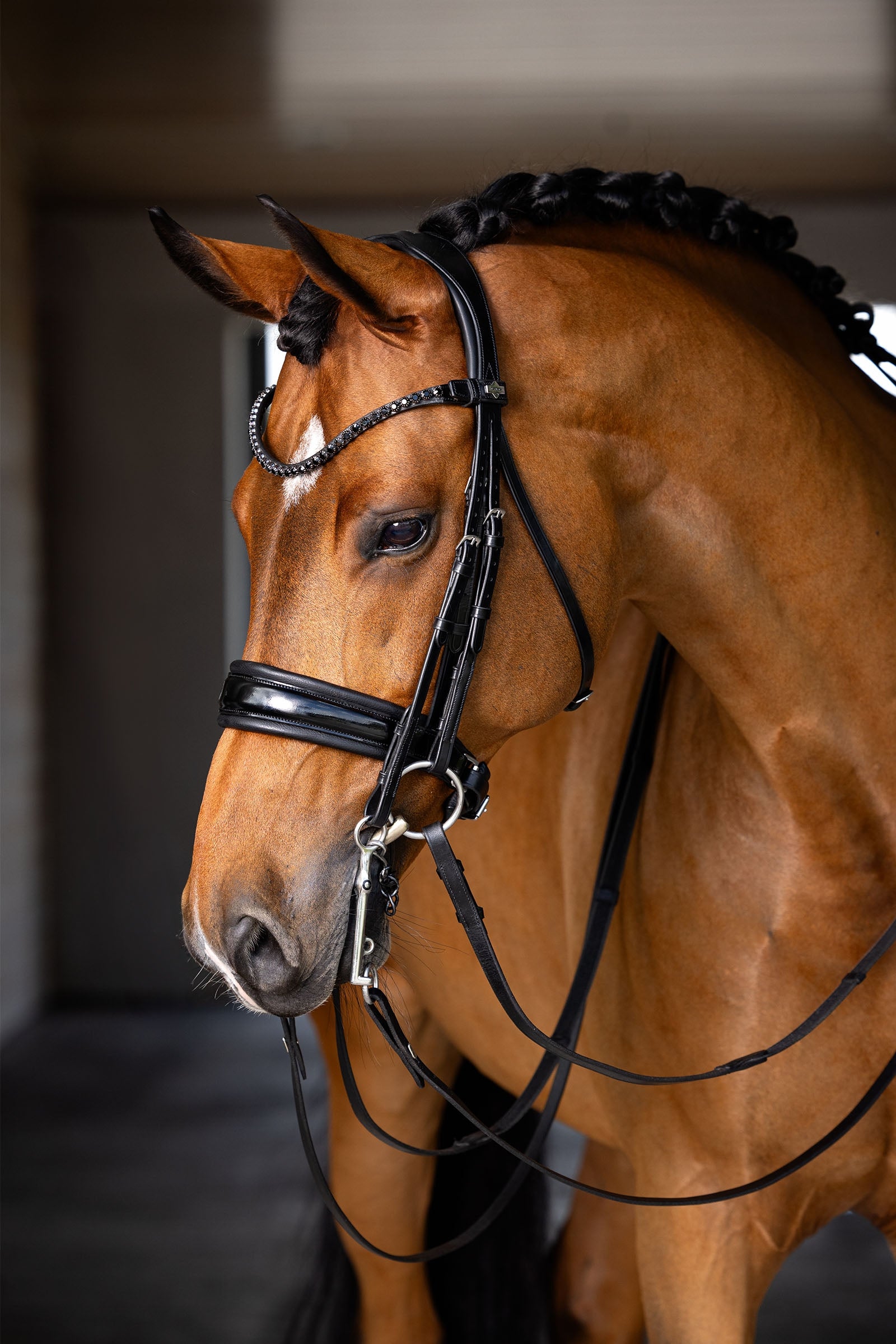 LeMieux Kudos Double Bridle Bridles & Reins