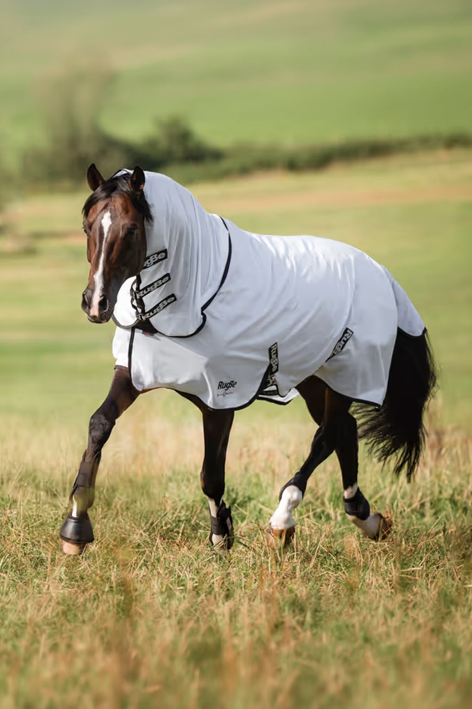 Covalliero RugBe Superfly Fly Sheet Horse Rugs