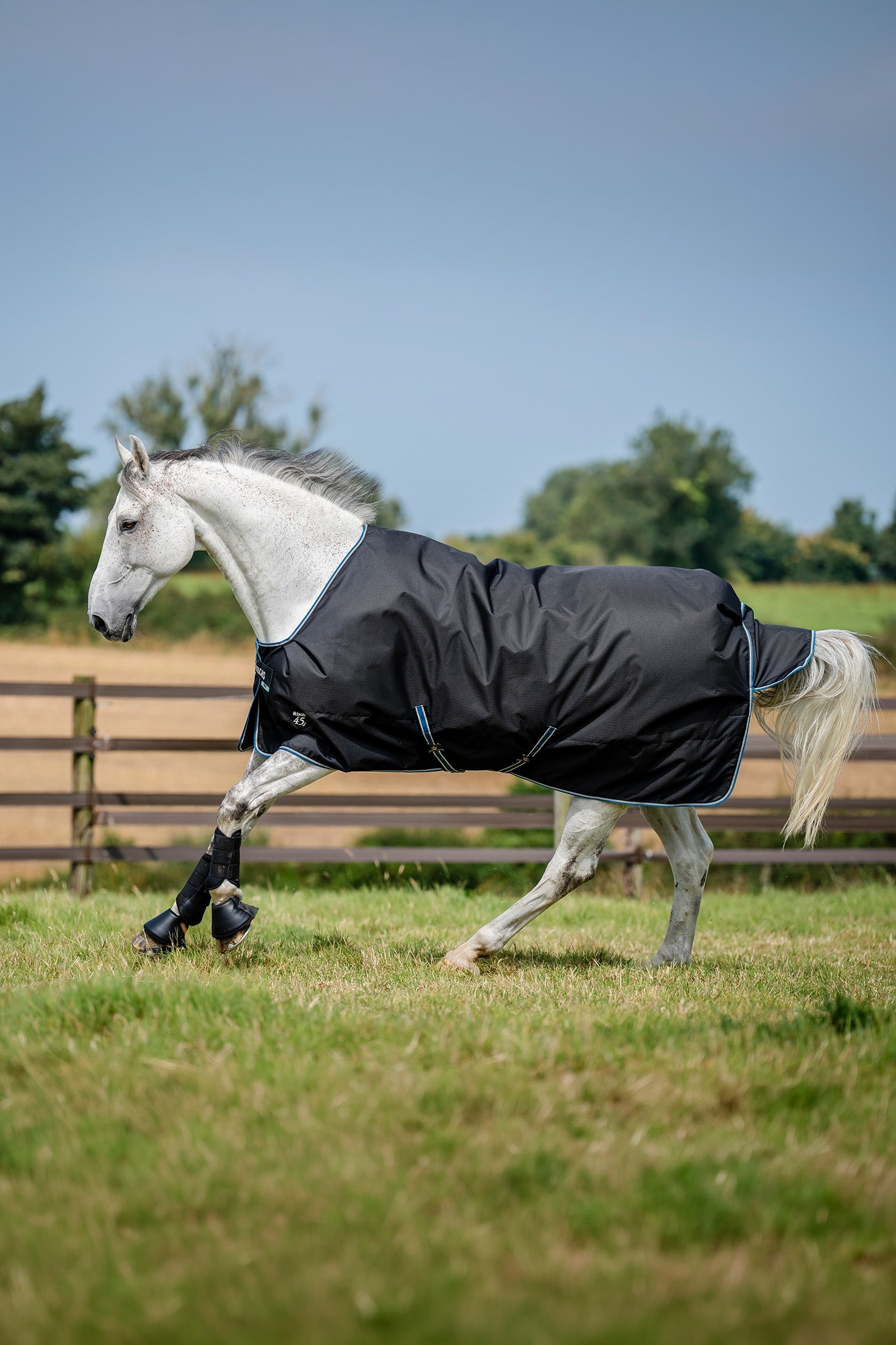Bucas Anniversary SD Light Rain Turnout Rug, 0g Horse Rugs