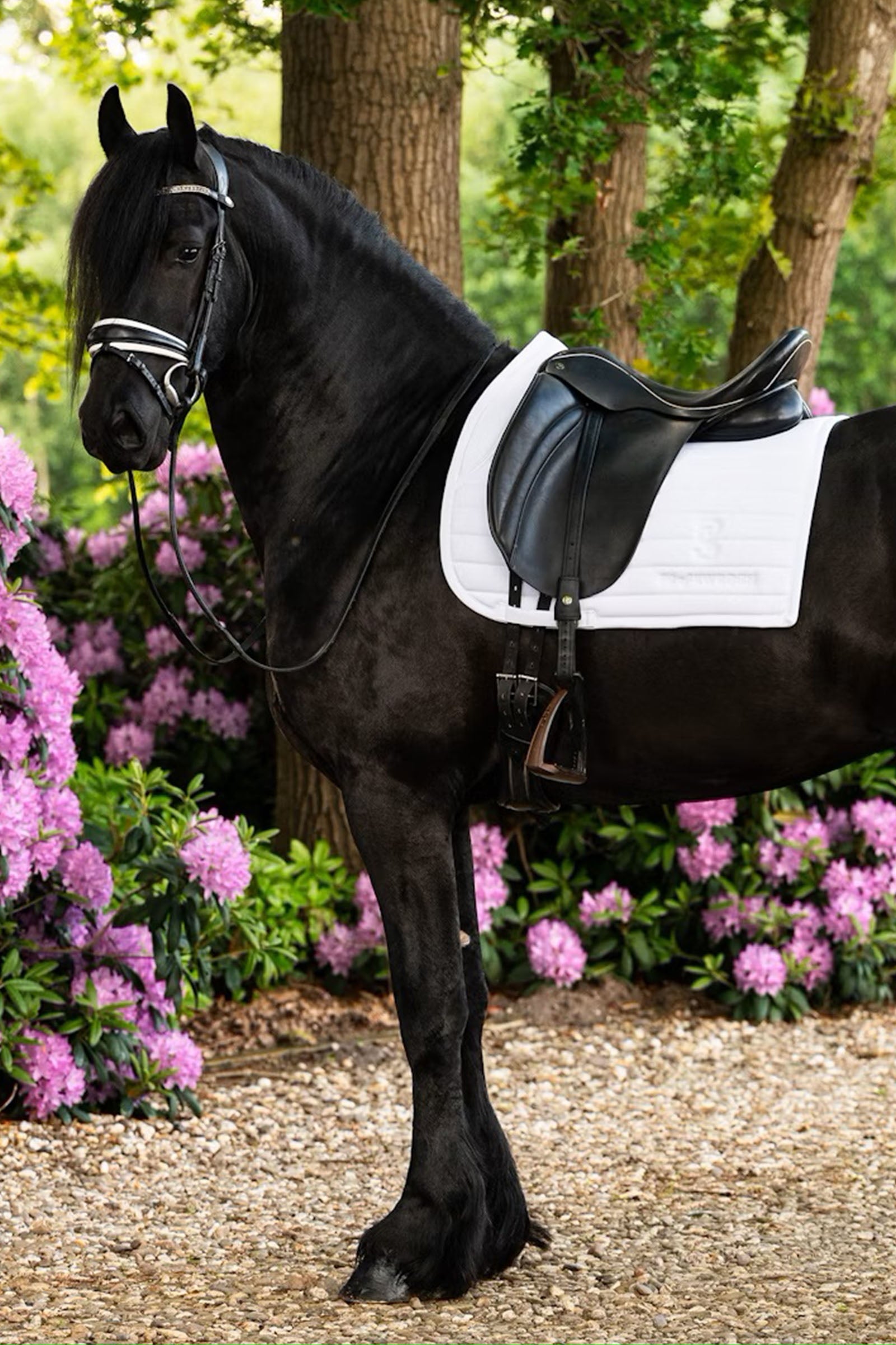 PS of Sweden Stripe Dressage Saddle Pad Saddle Pads