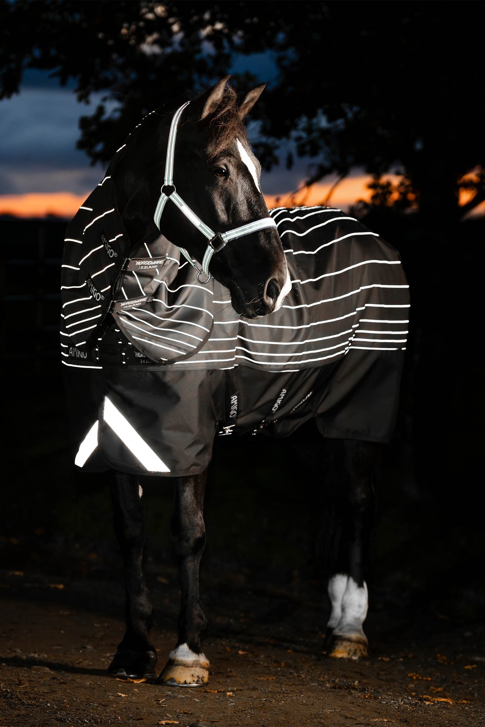 Horseware Amigo 1200D FieldSafe Reflectech Plus utetäcke, 250 g Hästtäcken