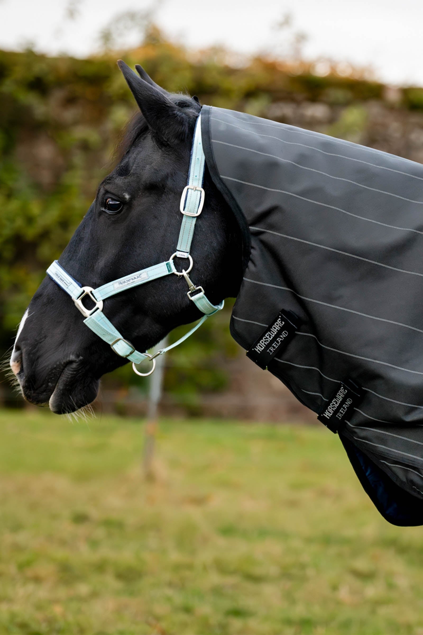 Horseware Amigo 1200D FieldSafe Reflectech Plus Turnout Rug, 250 g Horse Rugs