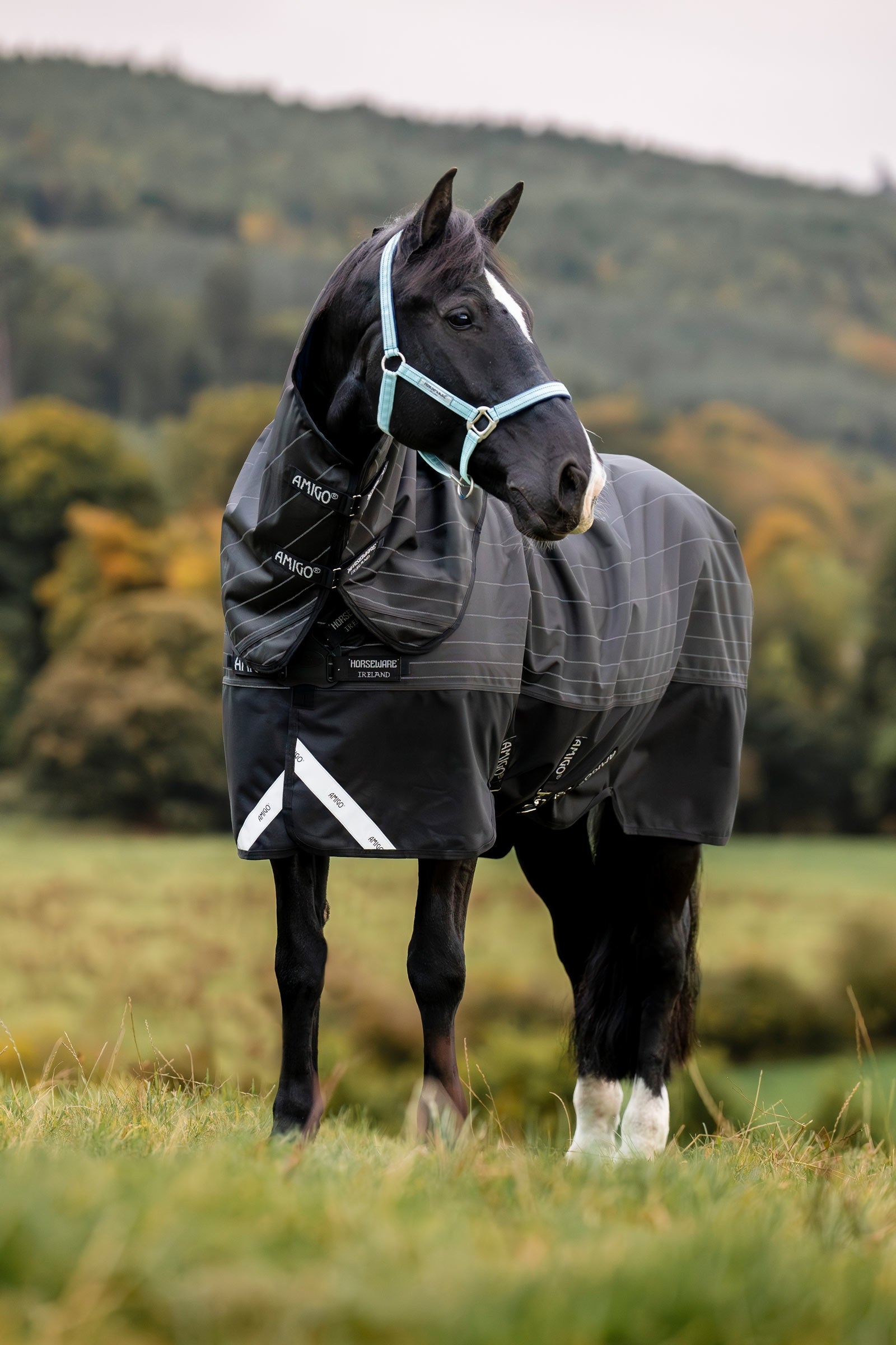 Horseware Amigo 1200D FieldSafe Reflectech Plus Turnout Rug, 250 g Horse Rugs