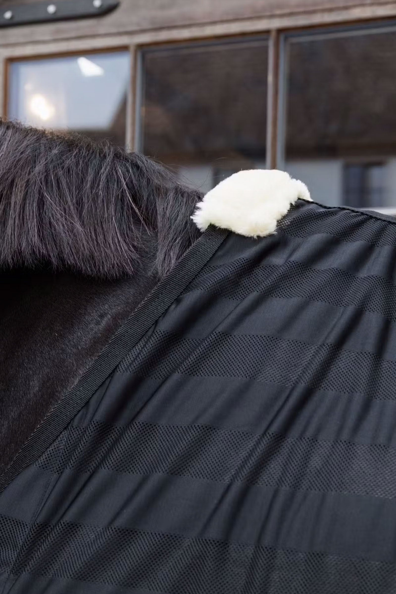 Kentucky Horsewear Light striped Mesh fly sheet Horse Rugs