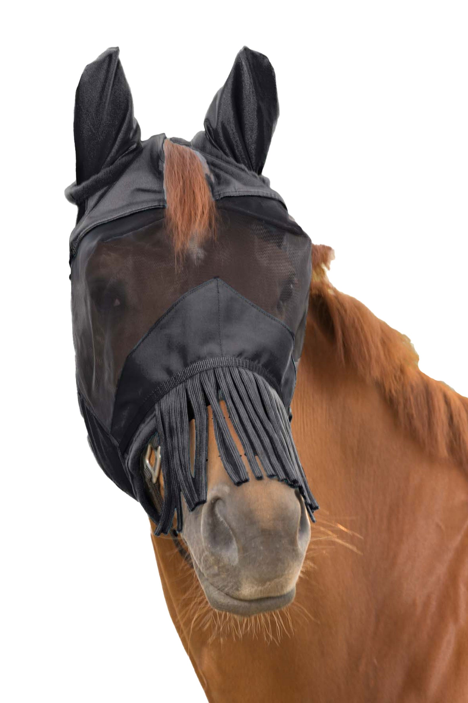 Waldhausen Premium Fly Mask 3-in-1 Antifly Protection for Horses