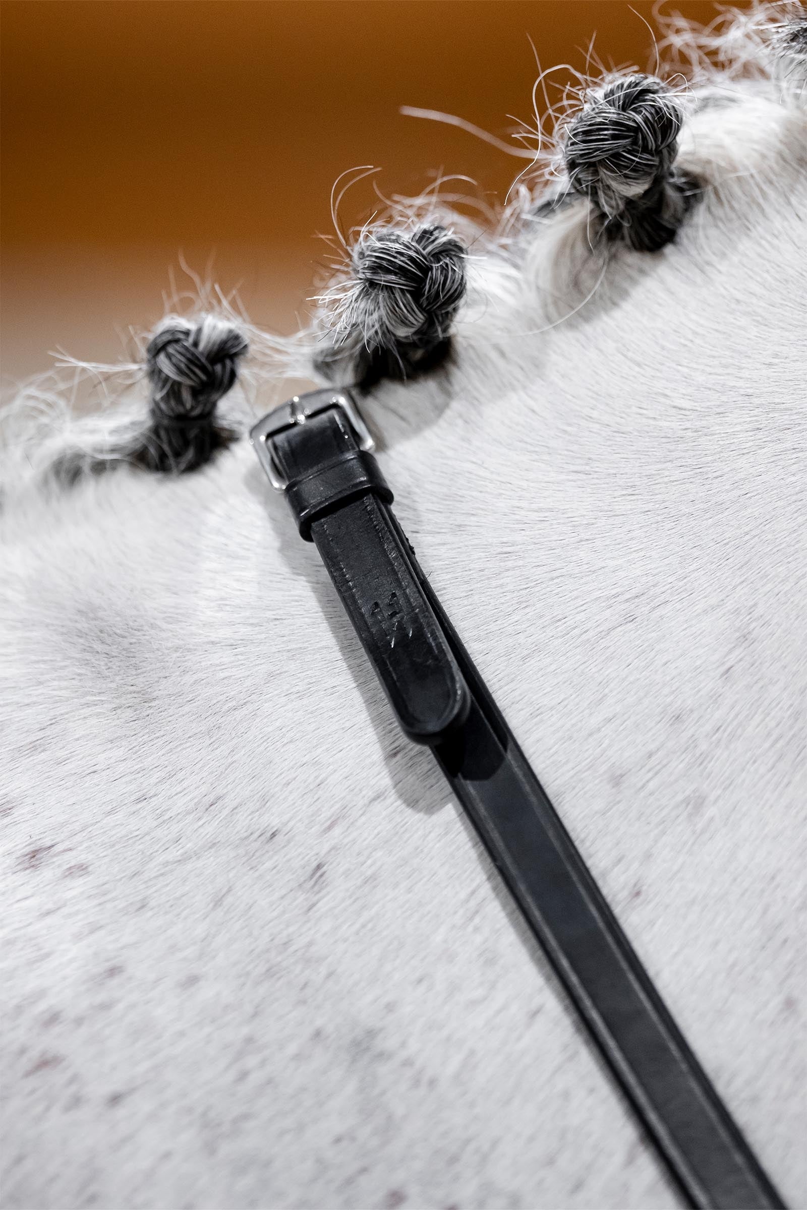 Horseware kandartyglar Träns & Tyglar