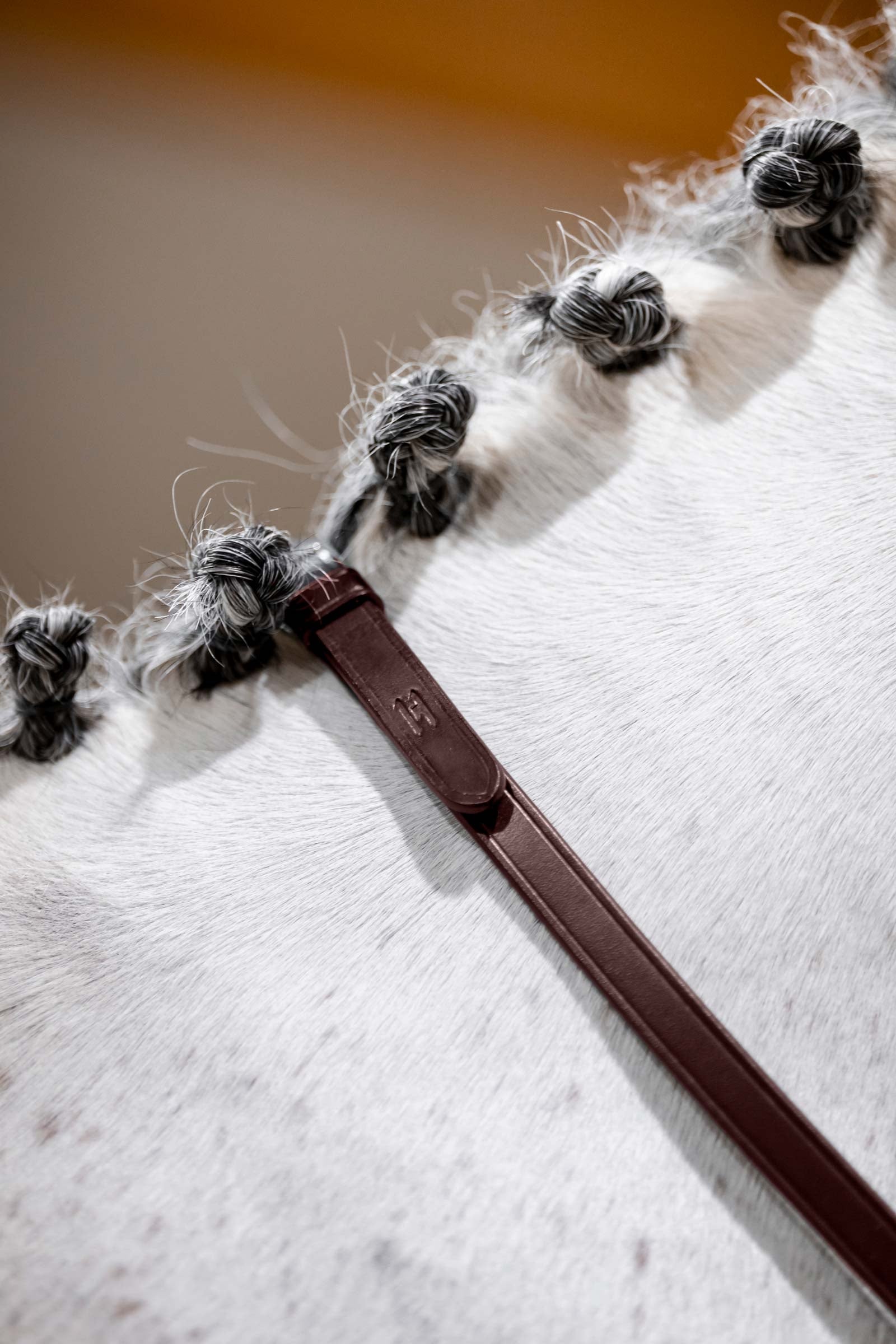 Horseware kandartyglar Träns & Tyglar