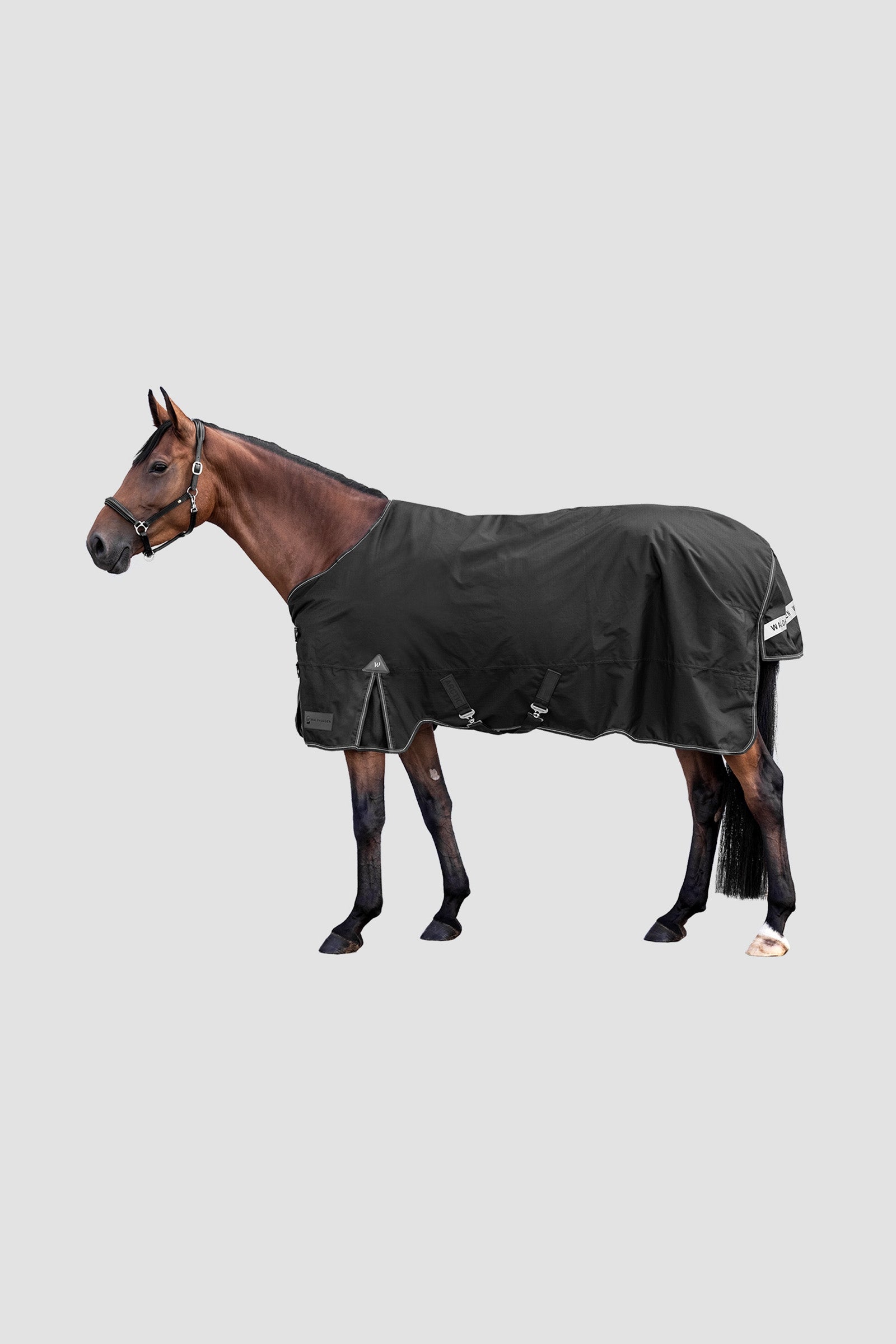 Waldhausen Arctic Outdoor Rug, 100 g Hästtäcken