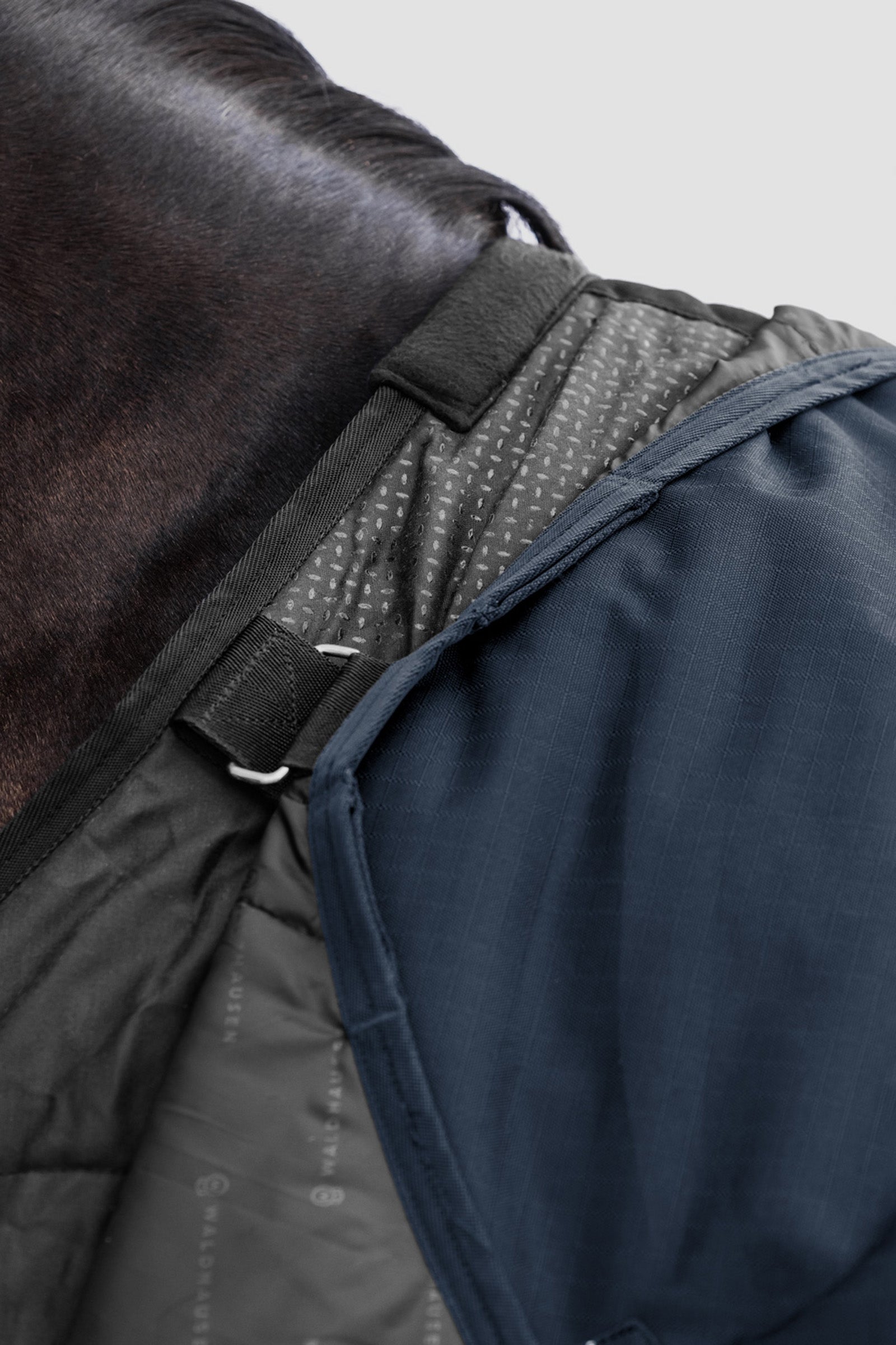 Waldhausen Arctic Outdoor Rug, 100 g Horse Rugs