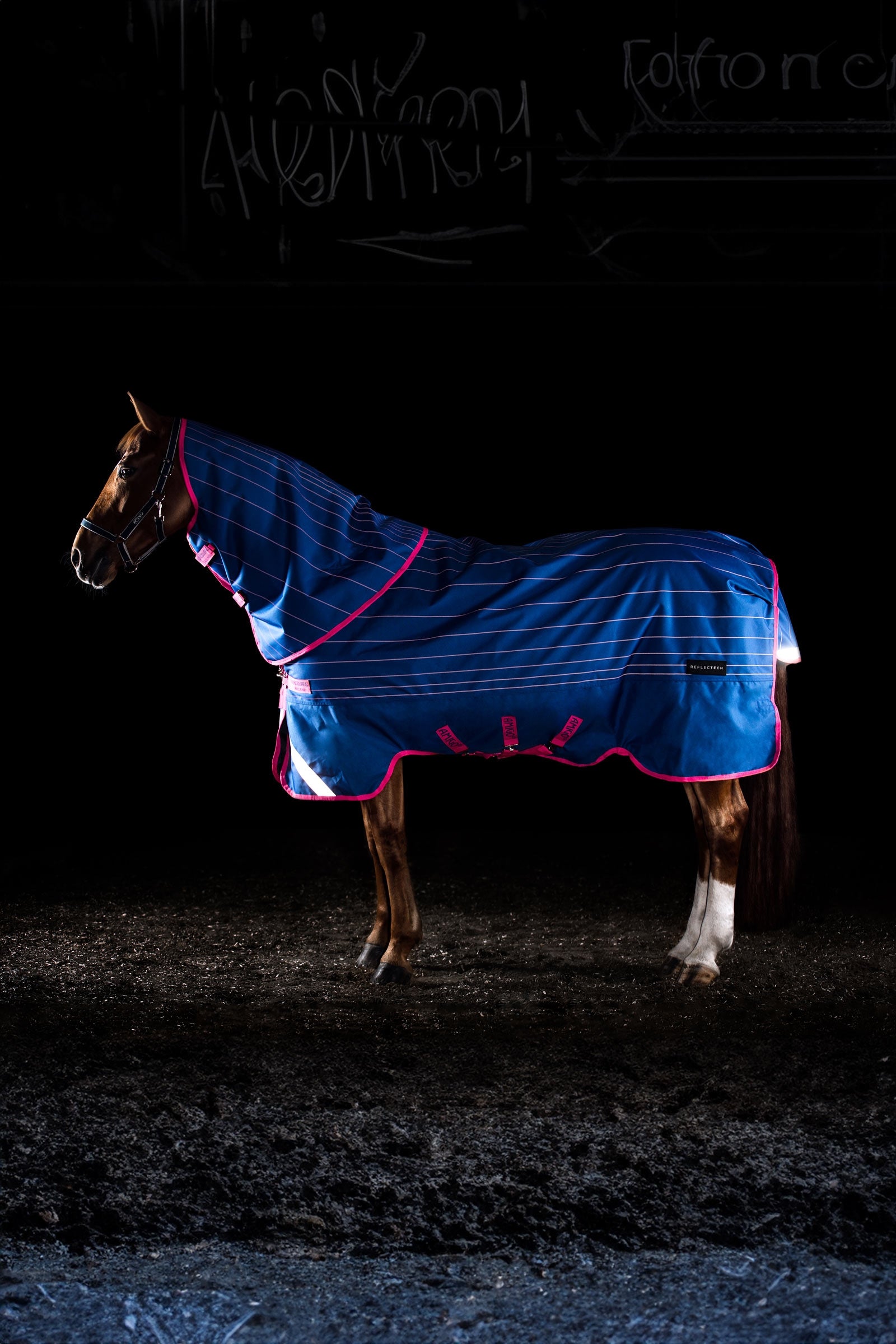 Horseware Amigo Bravo 12 Reflectech Plus utetäcke med avtagbar hals, 250g Hästtäcken