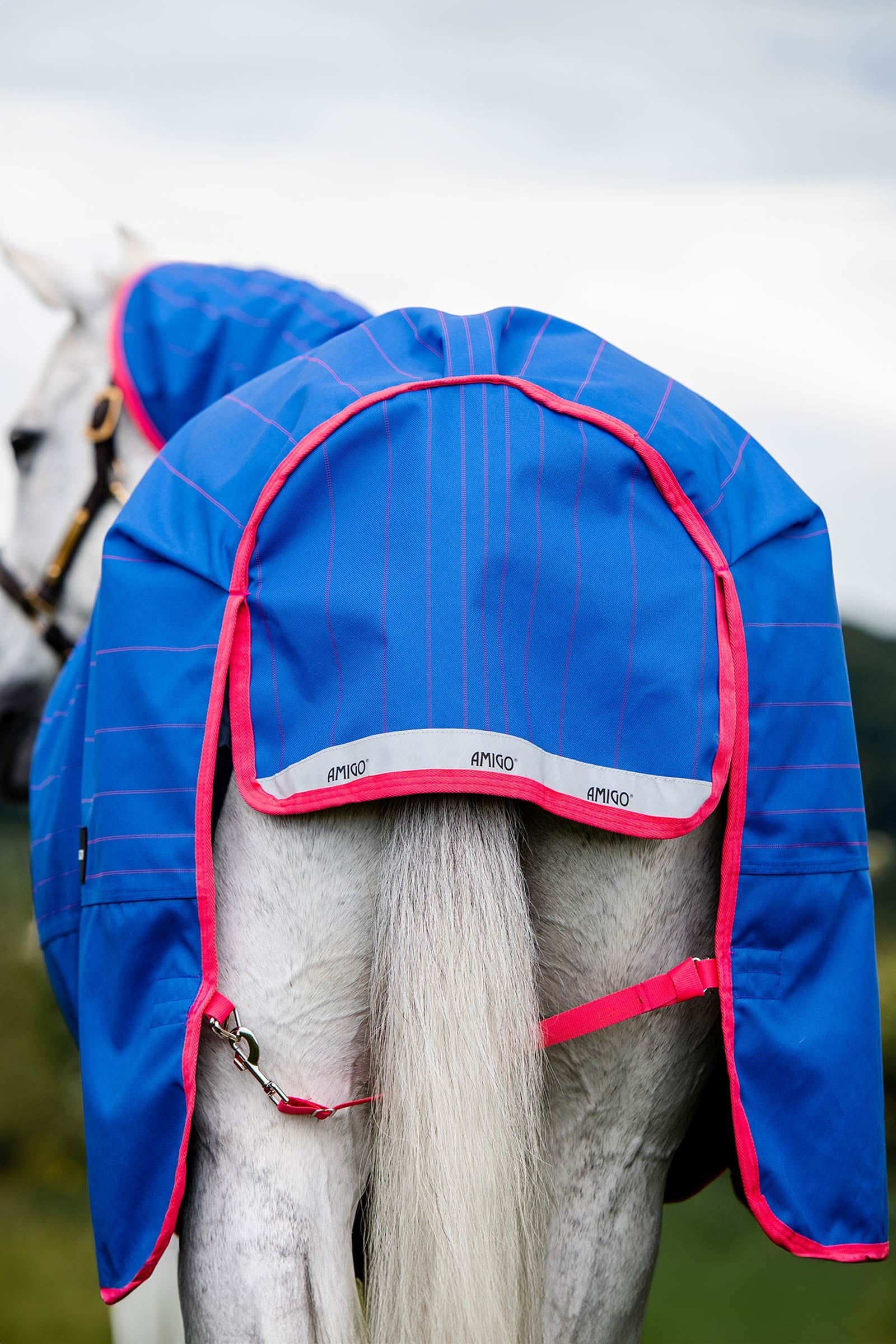 Horseware Amigo Bravo 12 Reflectech Plus Turnout Rug With Detachable Neck, 250g Horse Rugs