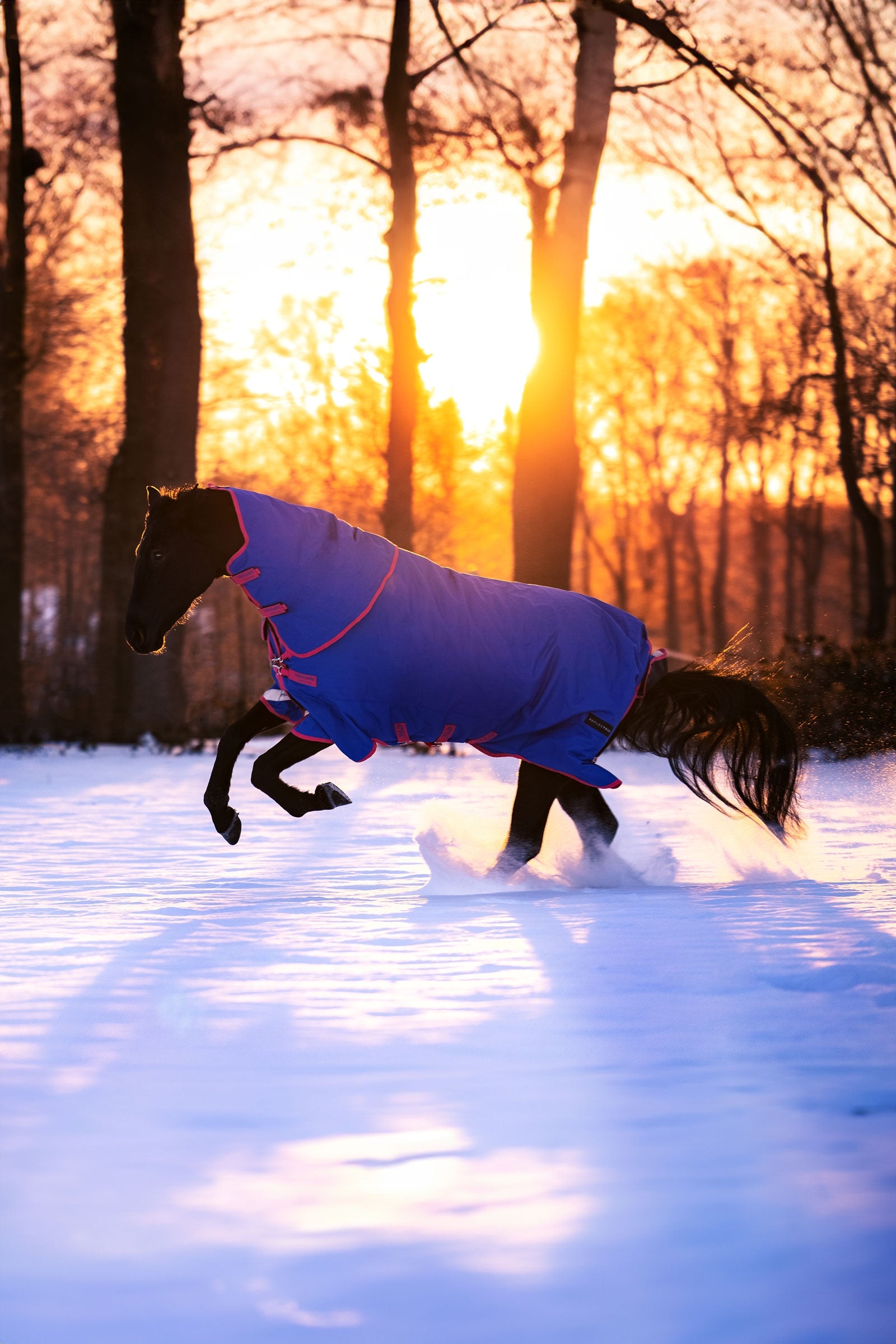 Horseware Amigo Bravo 12 Reflectech Plus Turnout Rug With Detachable Neck, 250g Horse Rugs