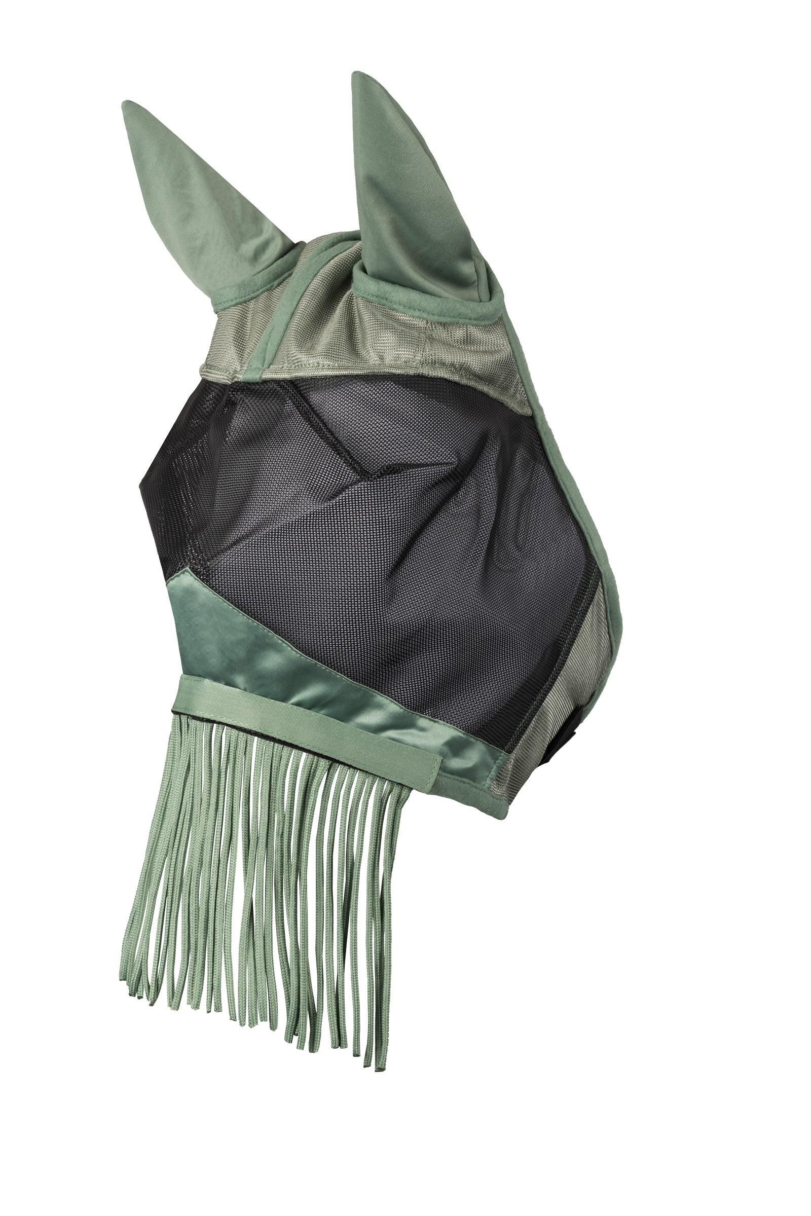 Horze flughuva med fransad nos Flugskydd