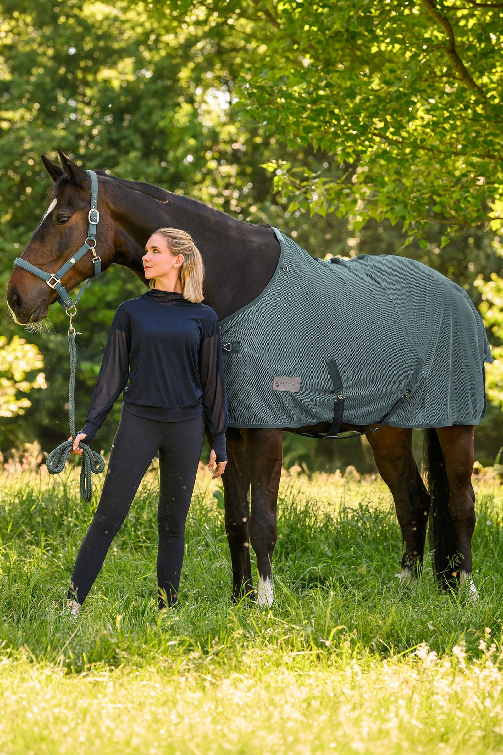 Waldhausen Comfort Fly Rug Horse Rugs