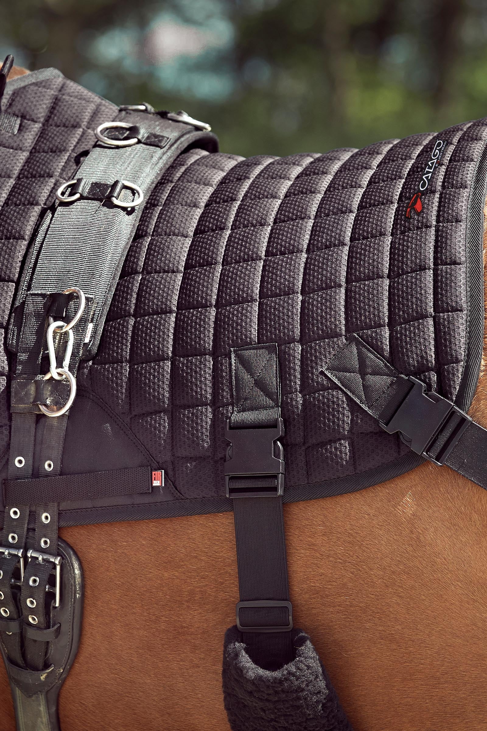 Catago FIR-Tech Training Saddle Pad With Elastic Straps Saddle Pads