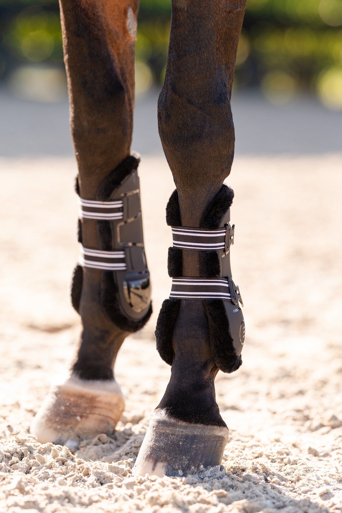 EquiFit Essential® Air2 Front Boot - UltraWool™ Liner (Pair) Leg & Hoof Protection