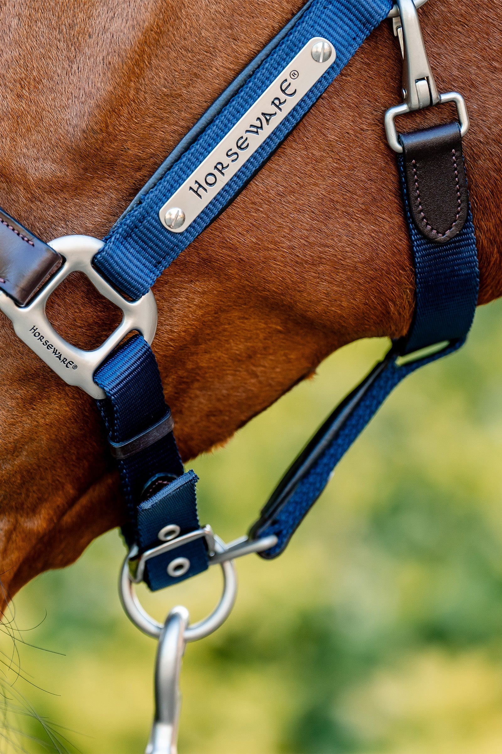 Horseware Signature Competition Headcollar Halters & Leads