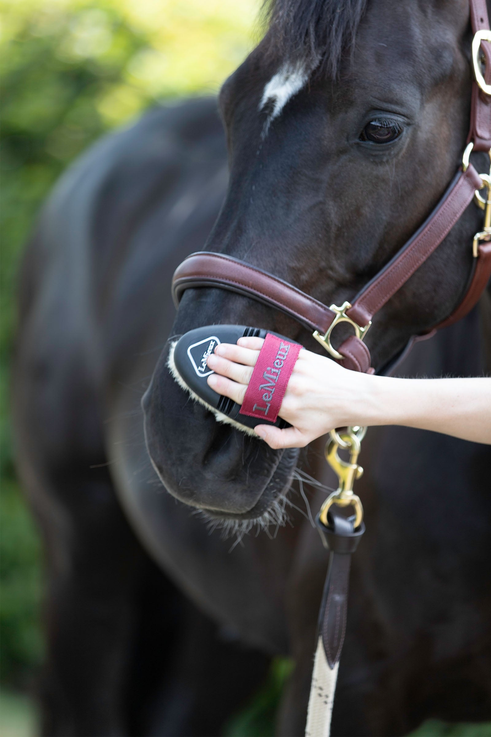 LeMieux Flexi Scrubbing Brush Horse Grooming Tools