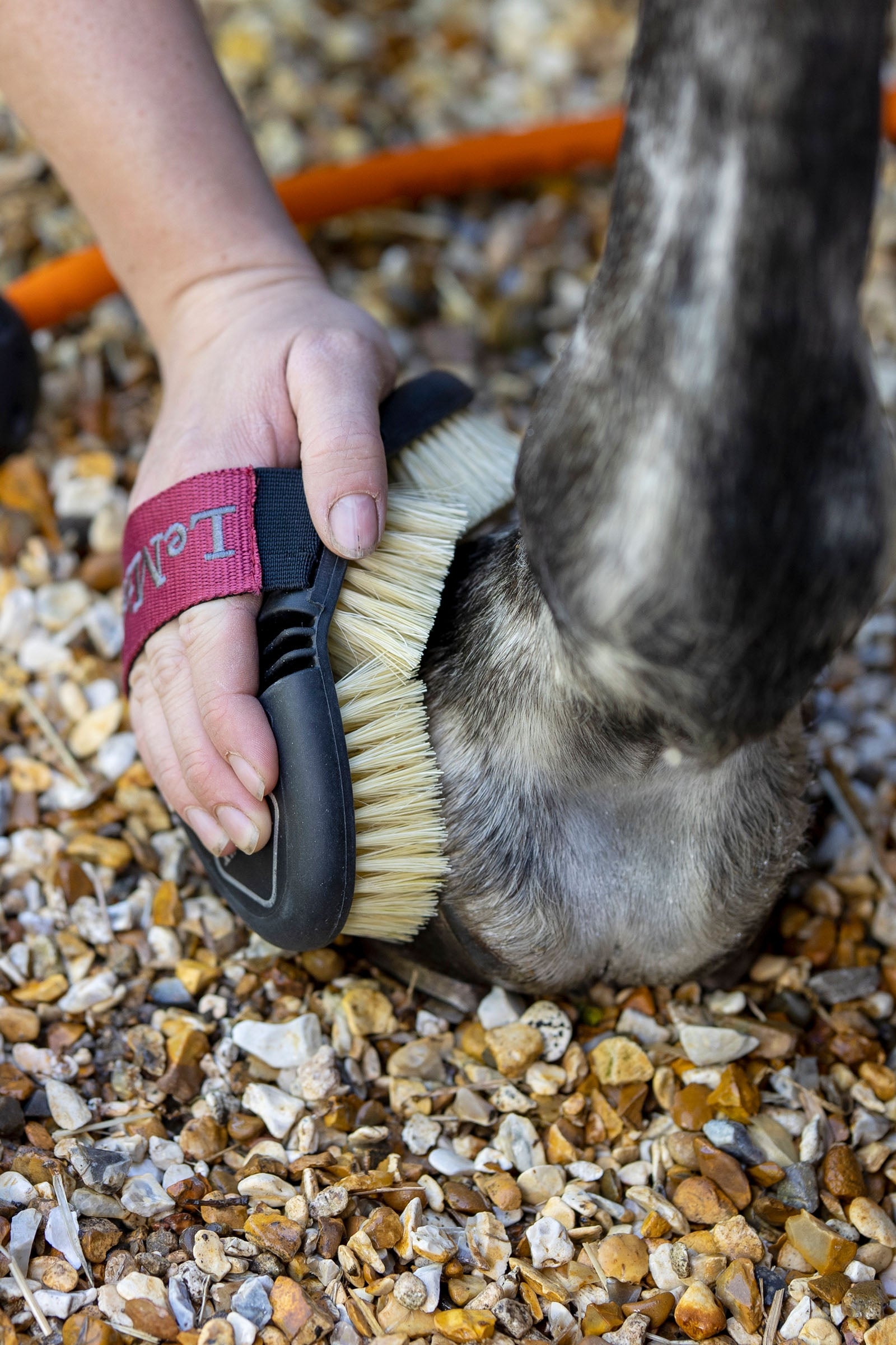 LeMieux Flexi Scrubbing Brush Horse Grooming Tools