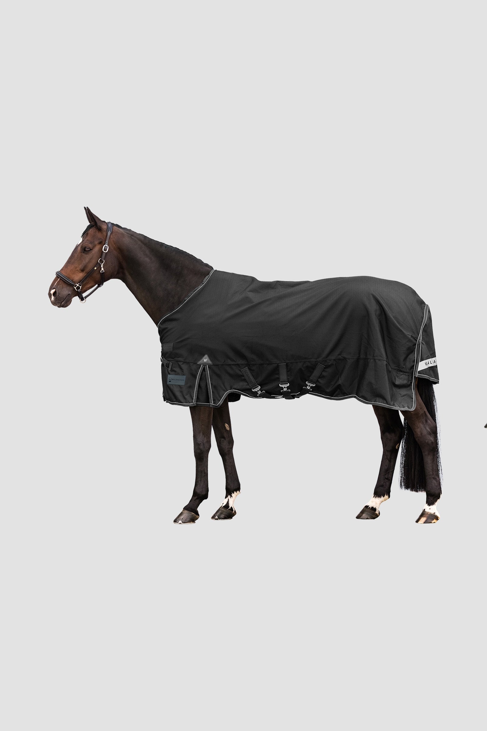 Waldhausen Outdoor Rug Scandic Multi-Layer 250 g/100 g Hästtäcken