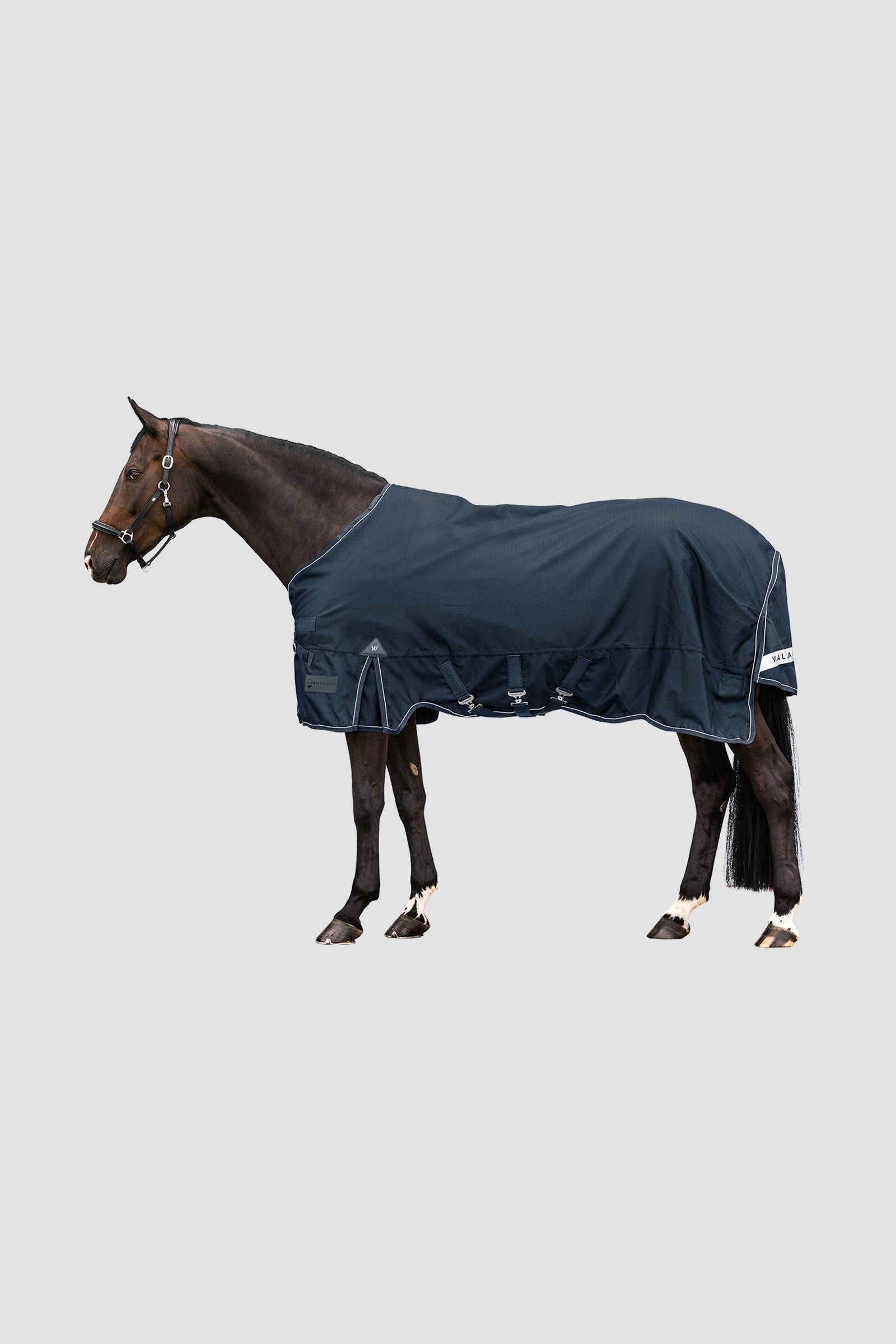 Waldhausen Outdoor Rug Scandic Multi-Layer 250 g/100 g Hästtäcken