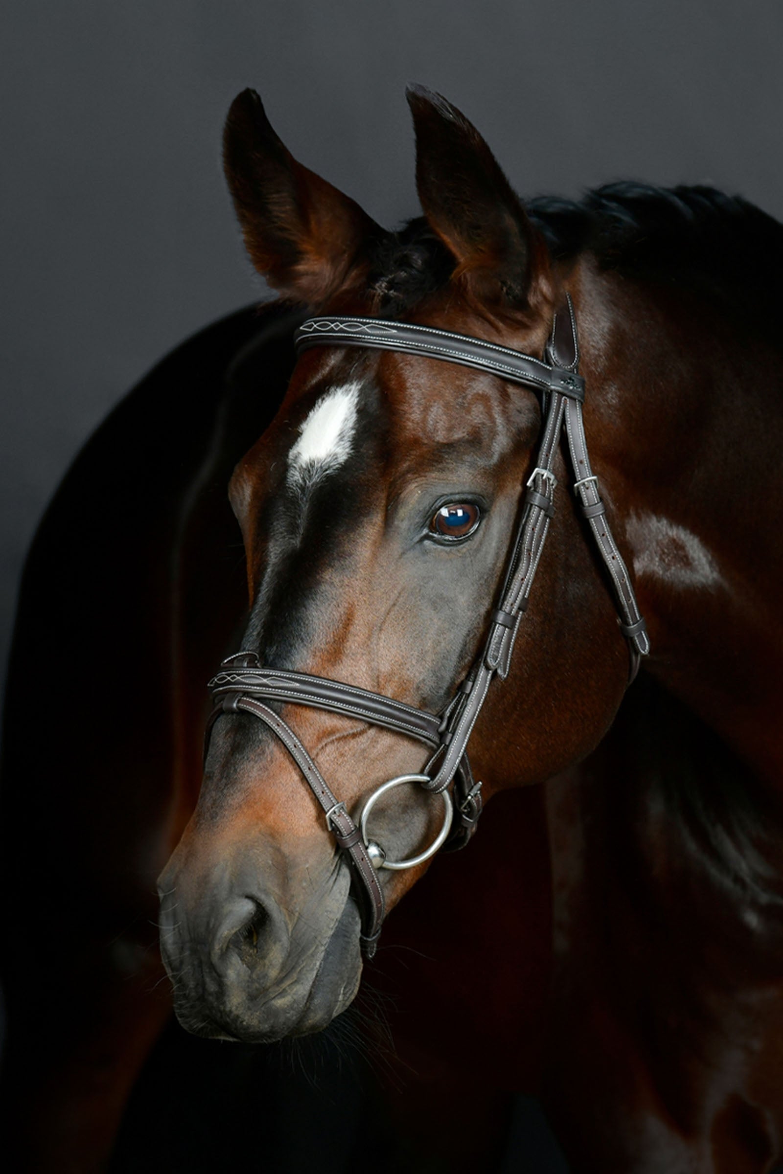 Collegiate Comfitec Opulux Fancy Stitch vadderat hannoveranskt träns Träns & Tyglar