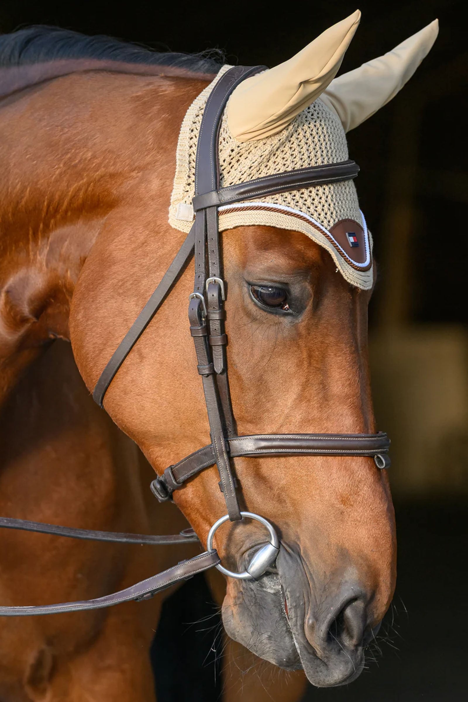 Tommy Hilfiger Equestrian Princeton Fly Hood Saddle Pads