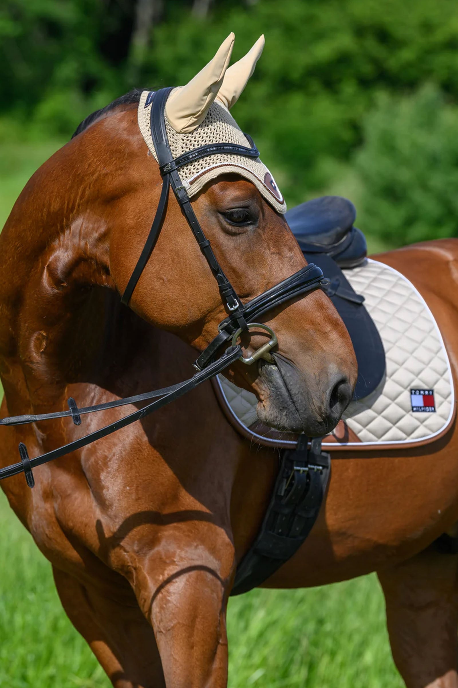 Tommy Hilfiger Equestrian Princeton Fly Hood Saddle Pads