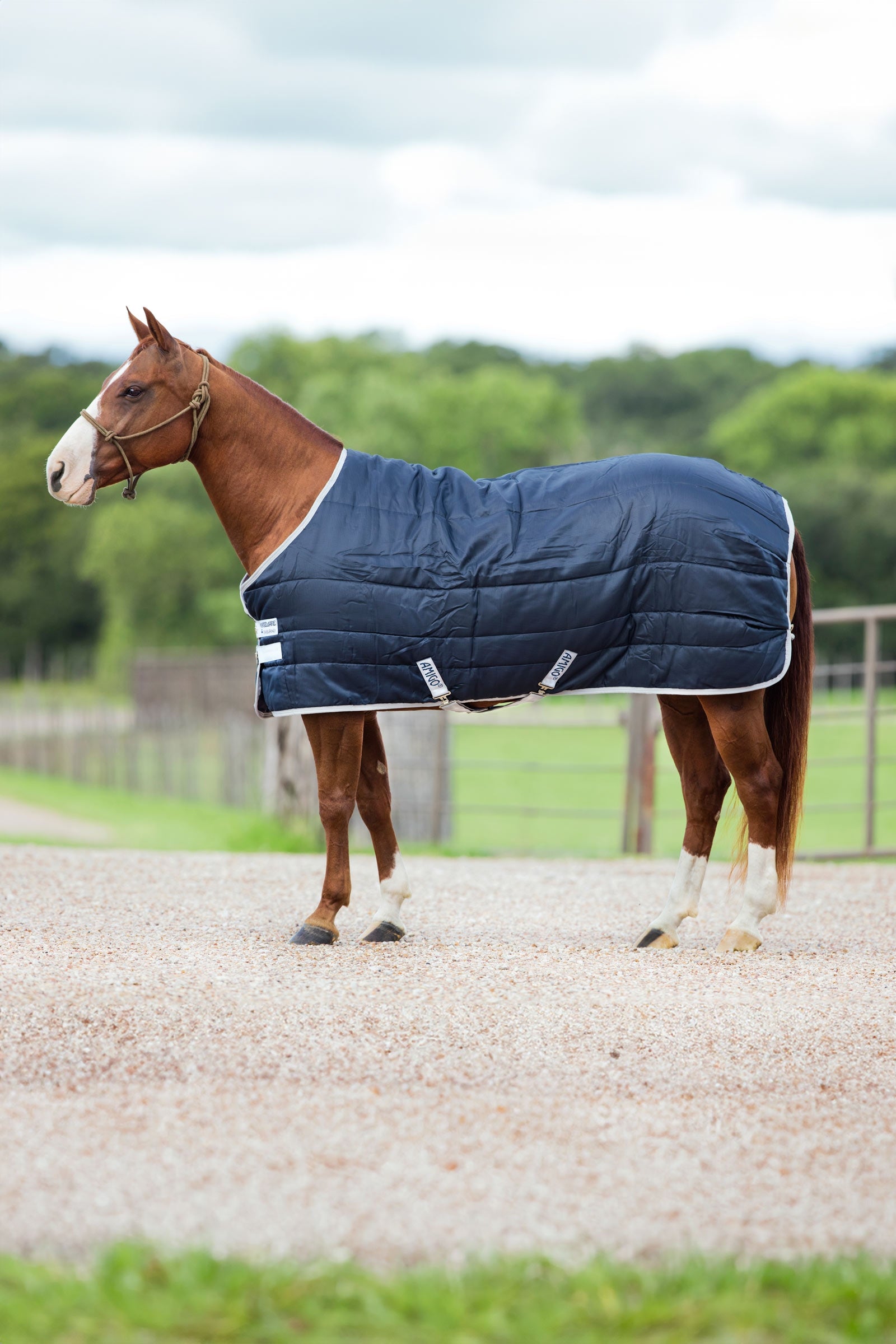 Horseware Amigo Insulator stalltäcke, 200g Hästtäcken