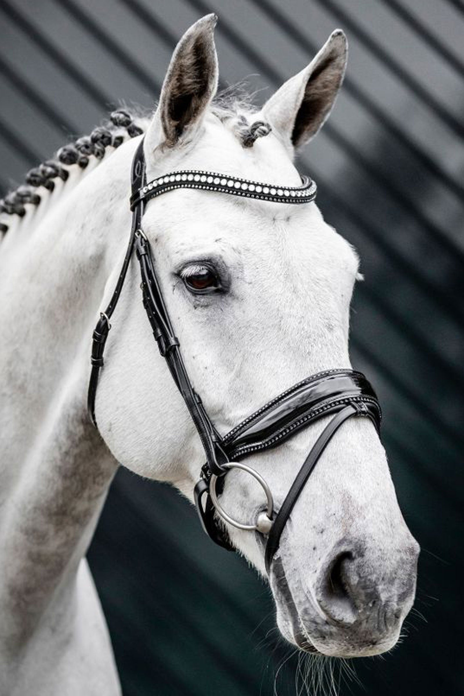 Horseware Diamante träns med kombinerad nosgrimma Träns & Tyglar