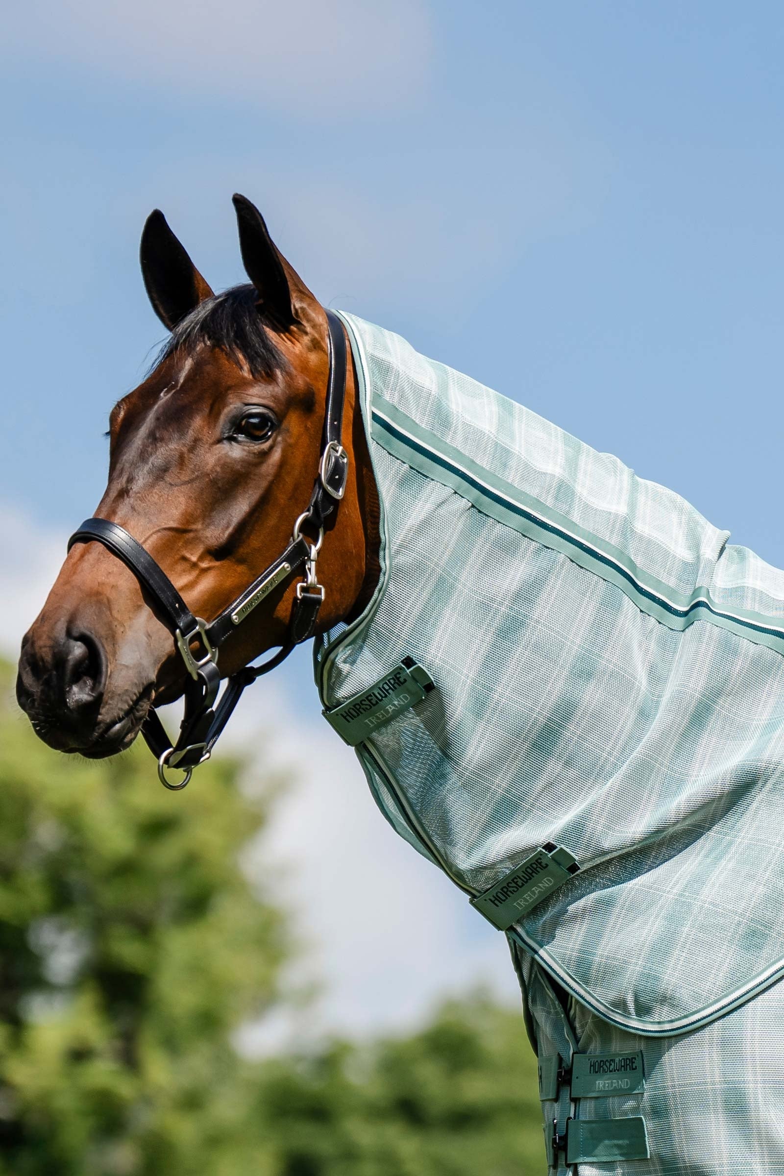 Horseware Newmarket halsdel till flugtäcke med UV-skydd Hästtäcken