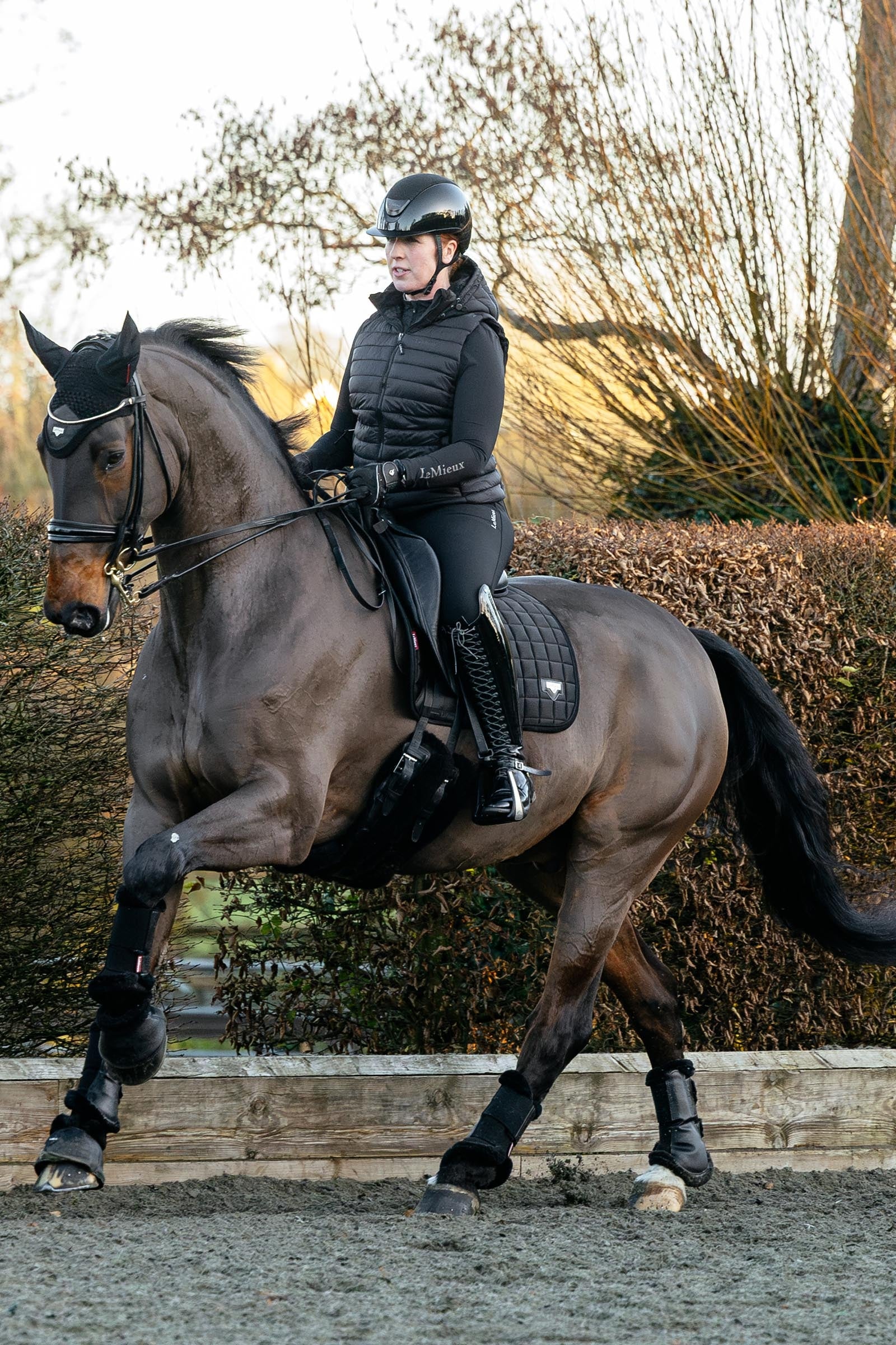 LeMieux Loire Dressage Square Saddle Pad Saddle Pads
