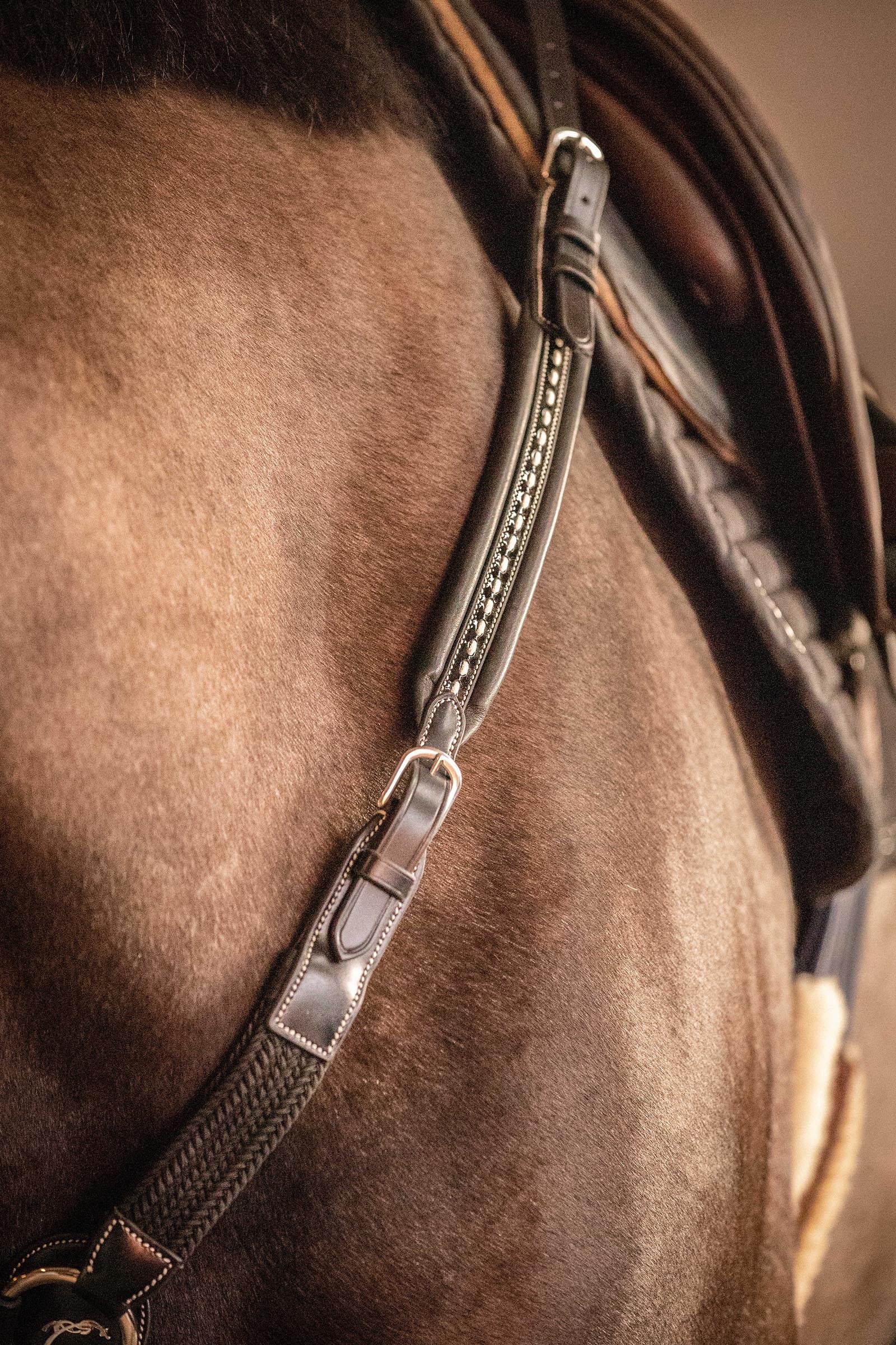 PENELOPE Martin Collar Bridles & Reins