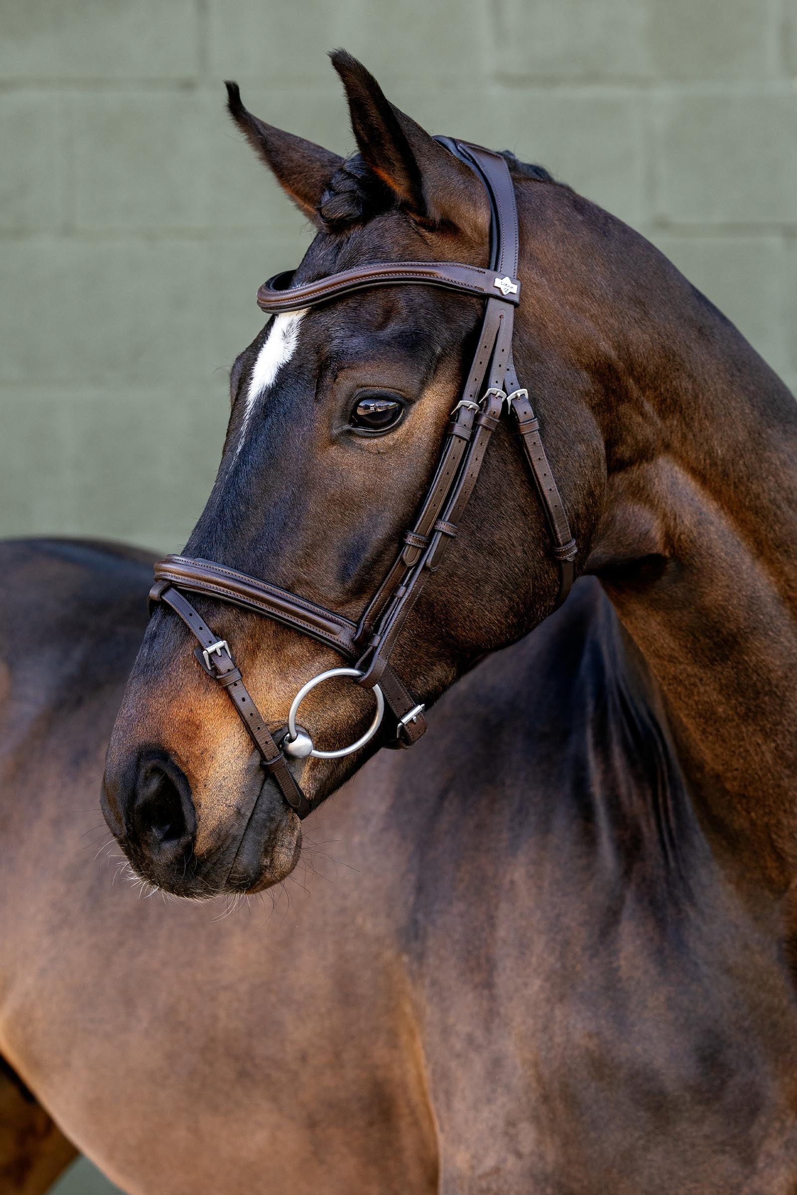 LeMieux Arika Flash Bridle Bridles & Reins