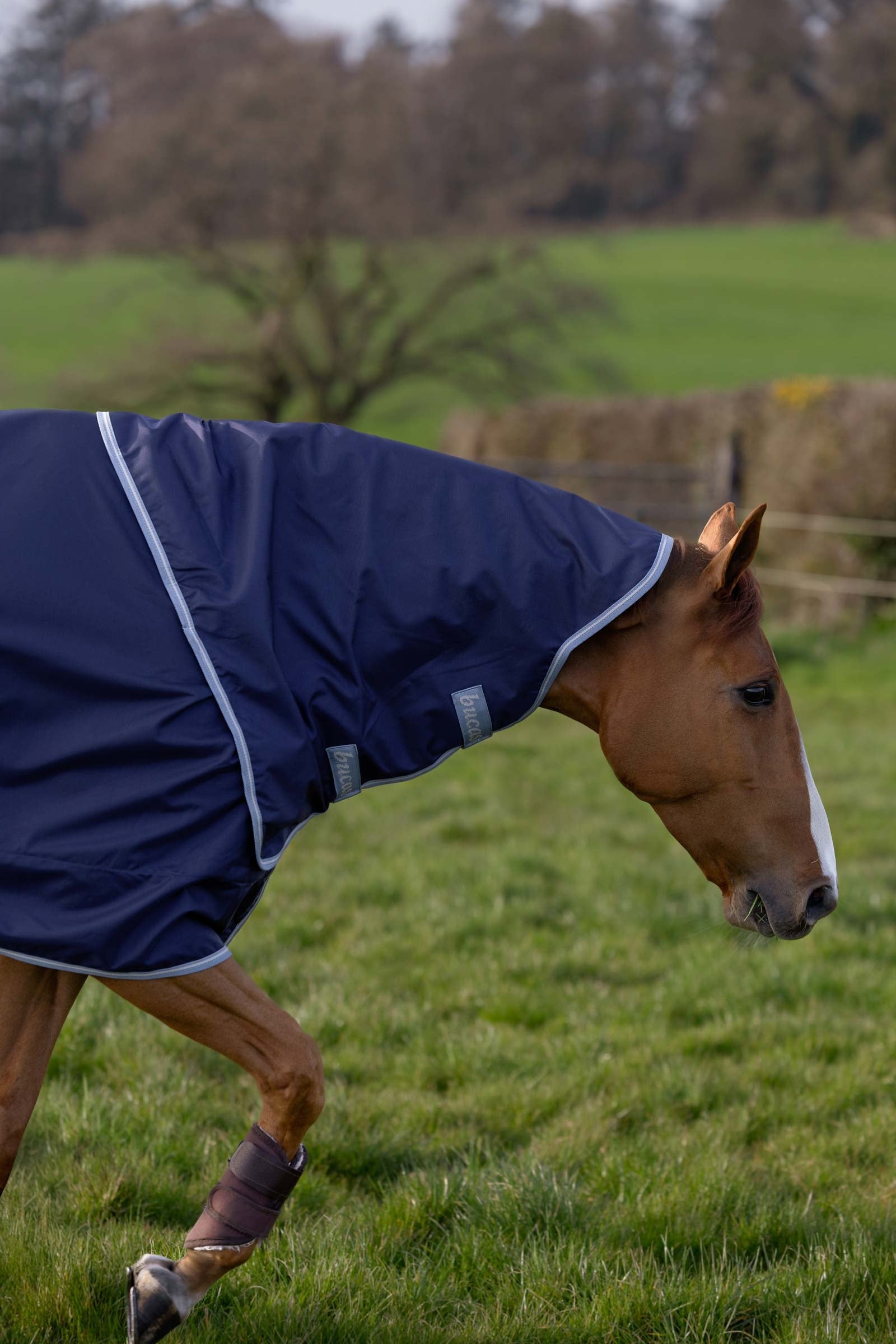 Bucas Atlantic Exclusive Rug & Neck Set, 0 g Horse Rugs