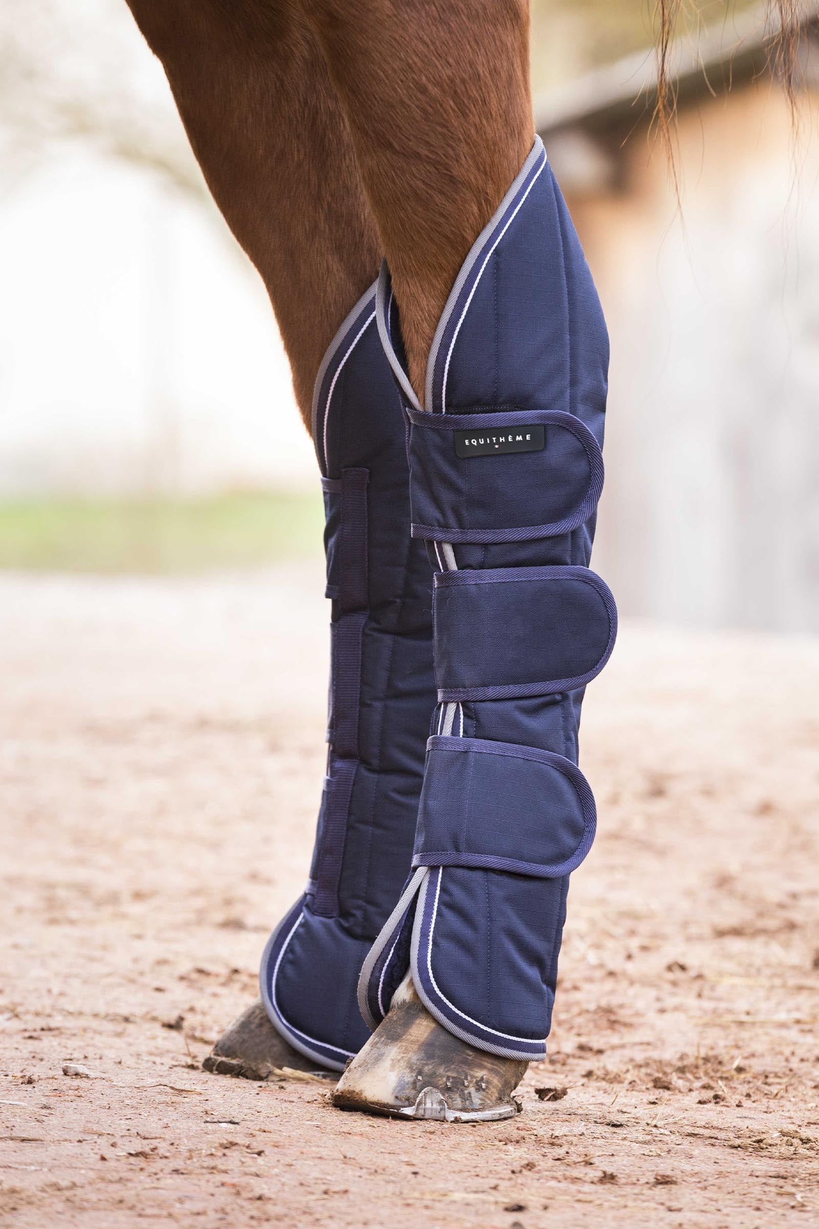 Equi Theme EQUITHÈME TYREX 600D vattentäta transportskydd Leg & Hoof Protection