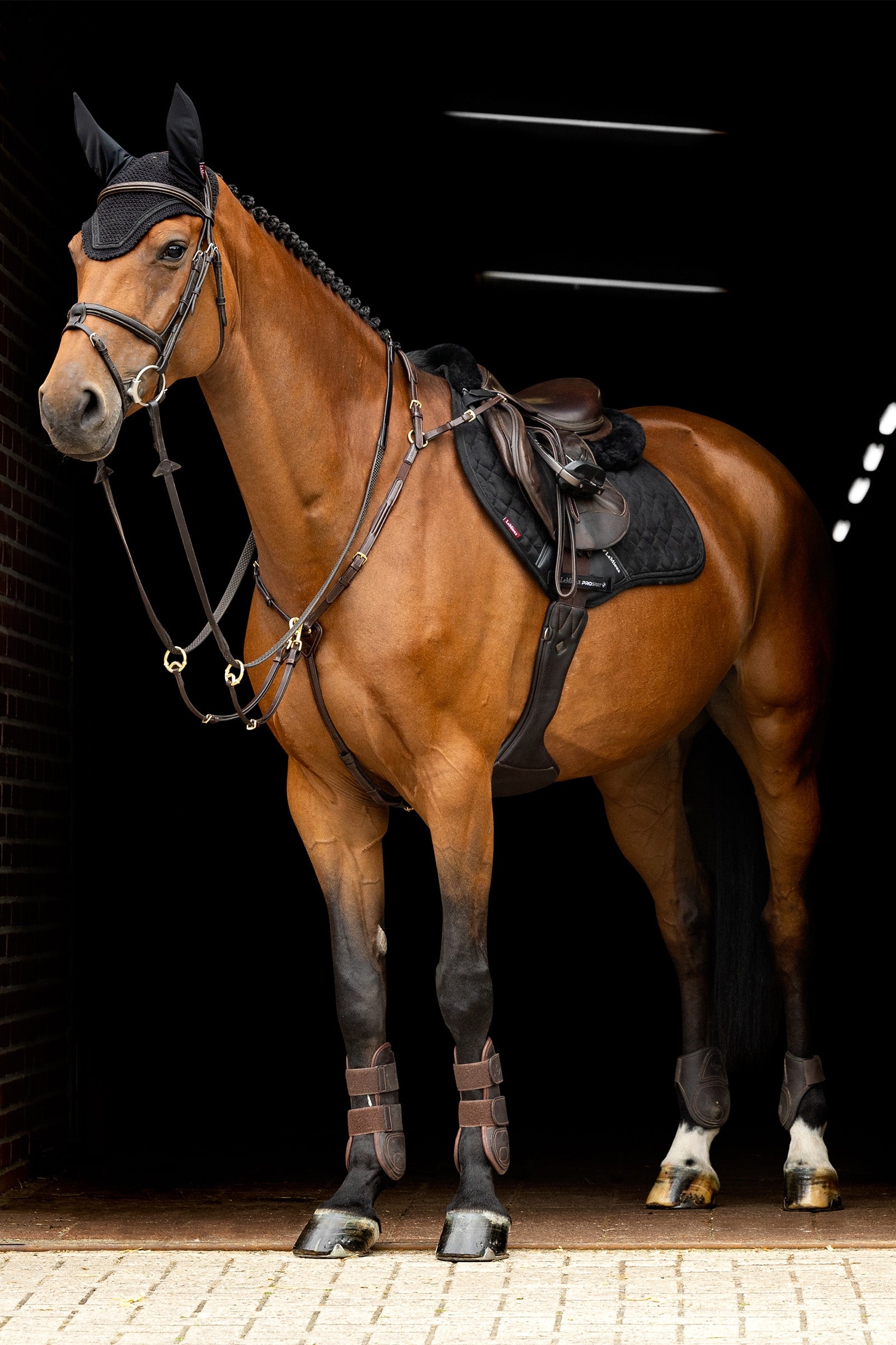 LeMieux Crystal Fly Hood Saddle Pads