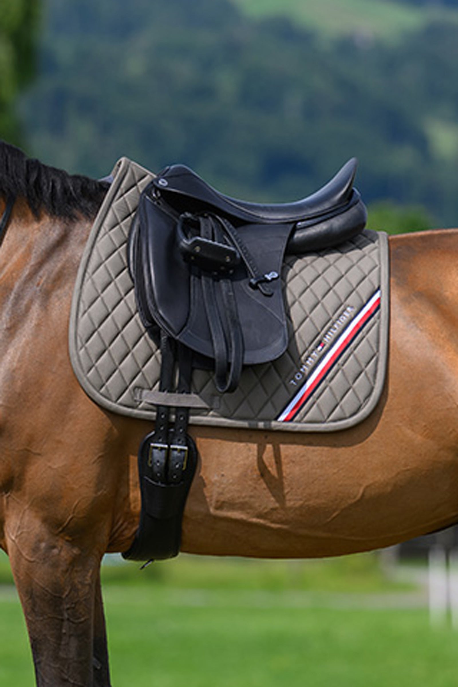 Tommy Hilfiger Equestrian Stanford Dressage Saddlepad Saddle Pads