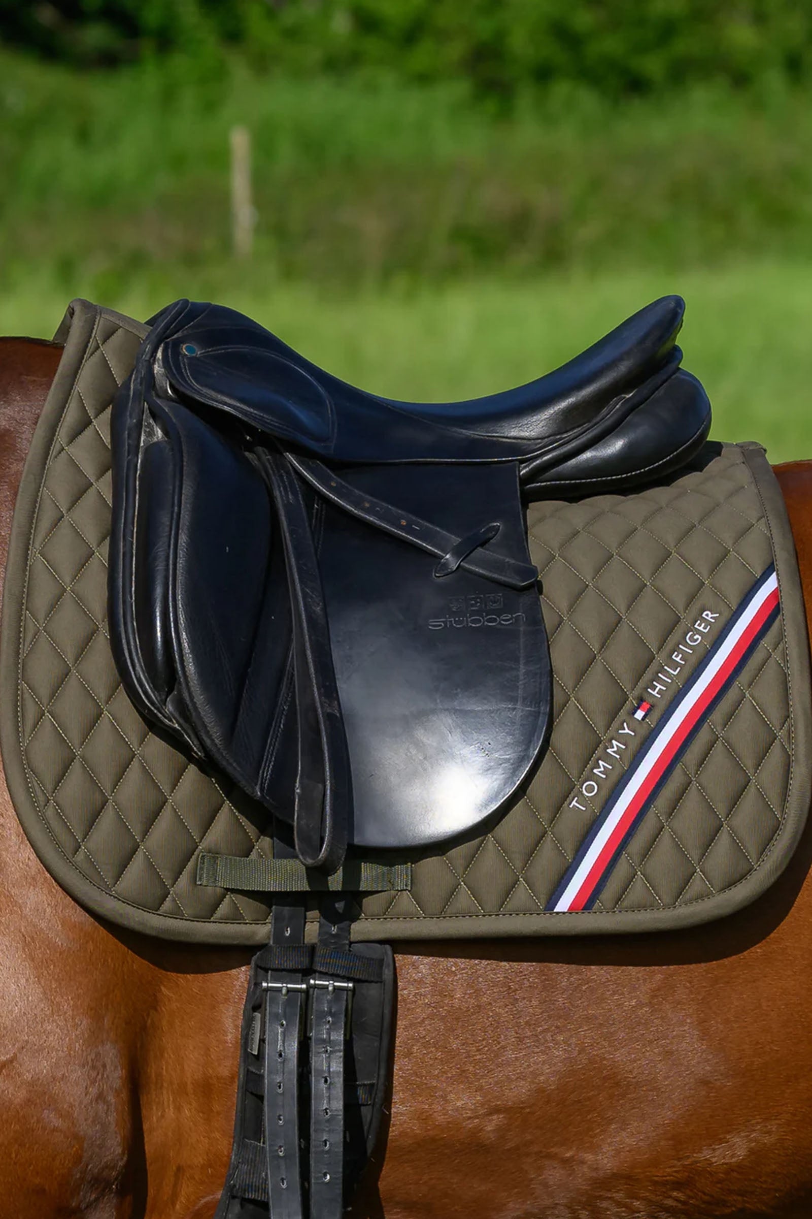 Tommy Hilfiger Equestrian Stanford Dressage Saddlepad Saddle Pads