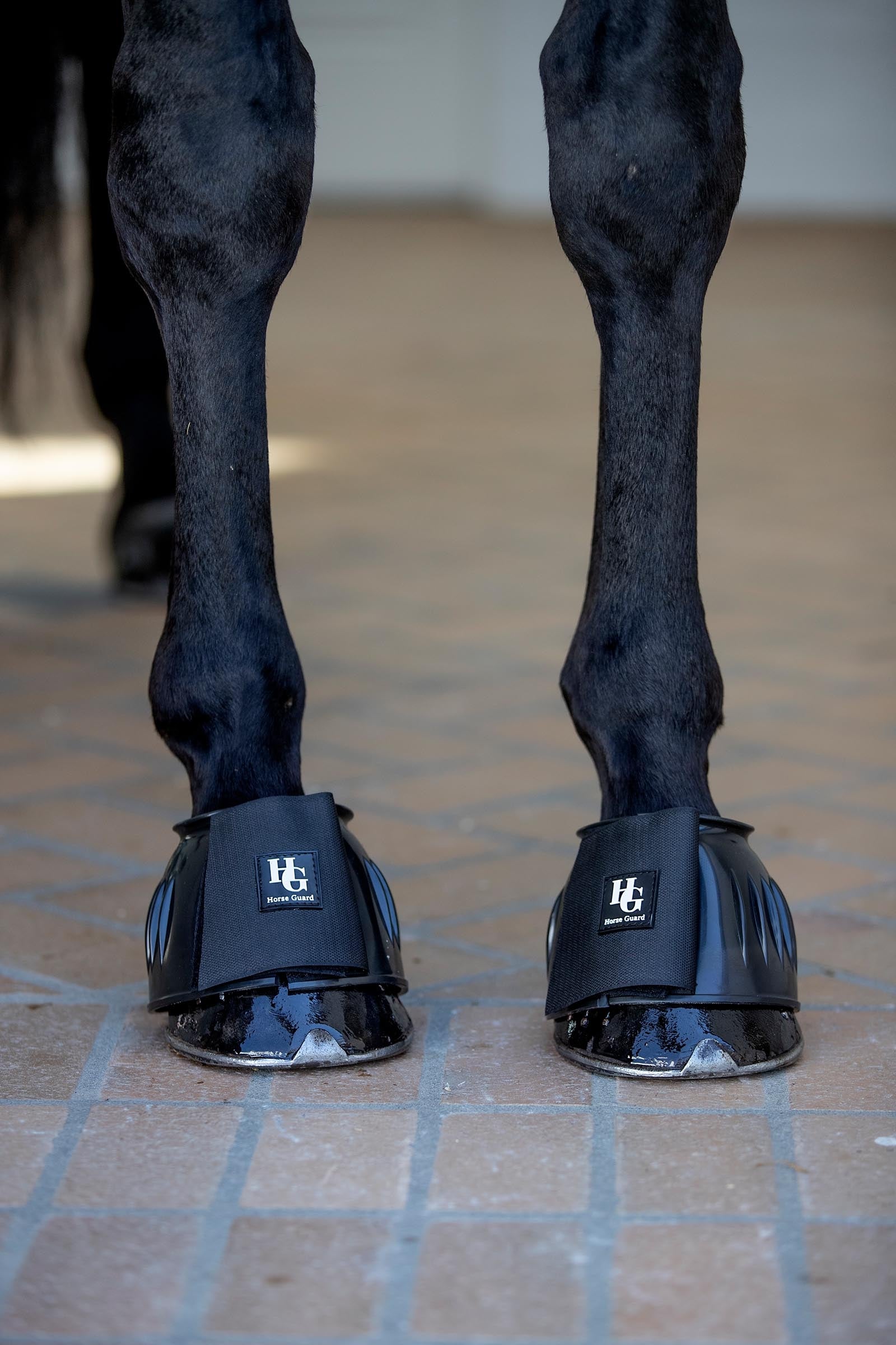 Horse Guard HorseGuard Tamsin Bell Boots Leg Protection & Hoof Protection for Horses