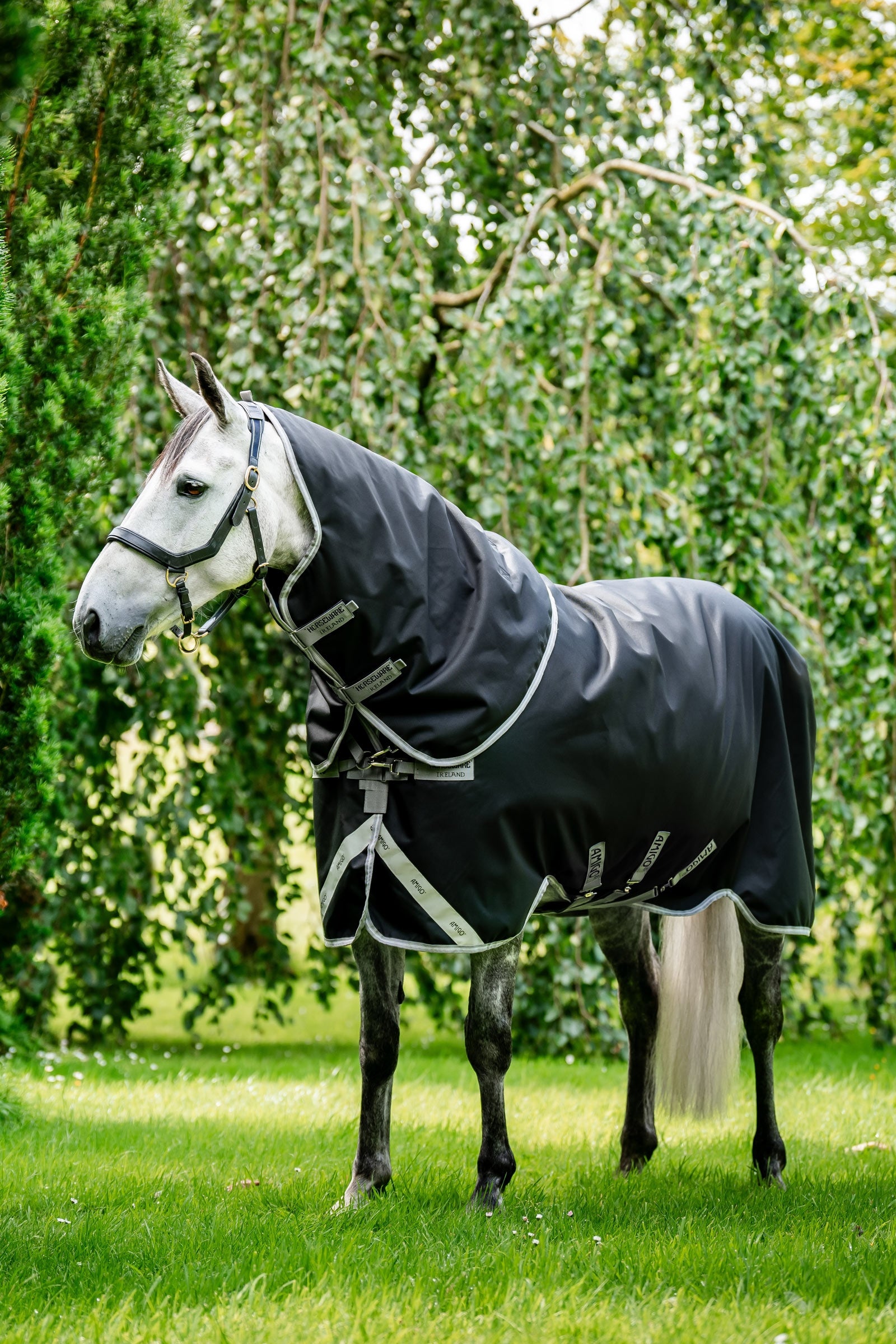 Horseware Amigo 1200D Plus Turnout Rug, 250 g Horse Rugs