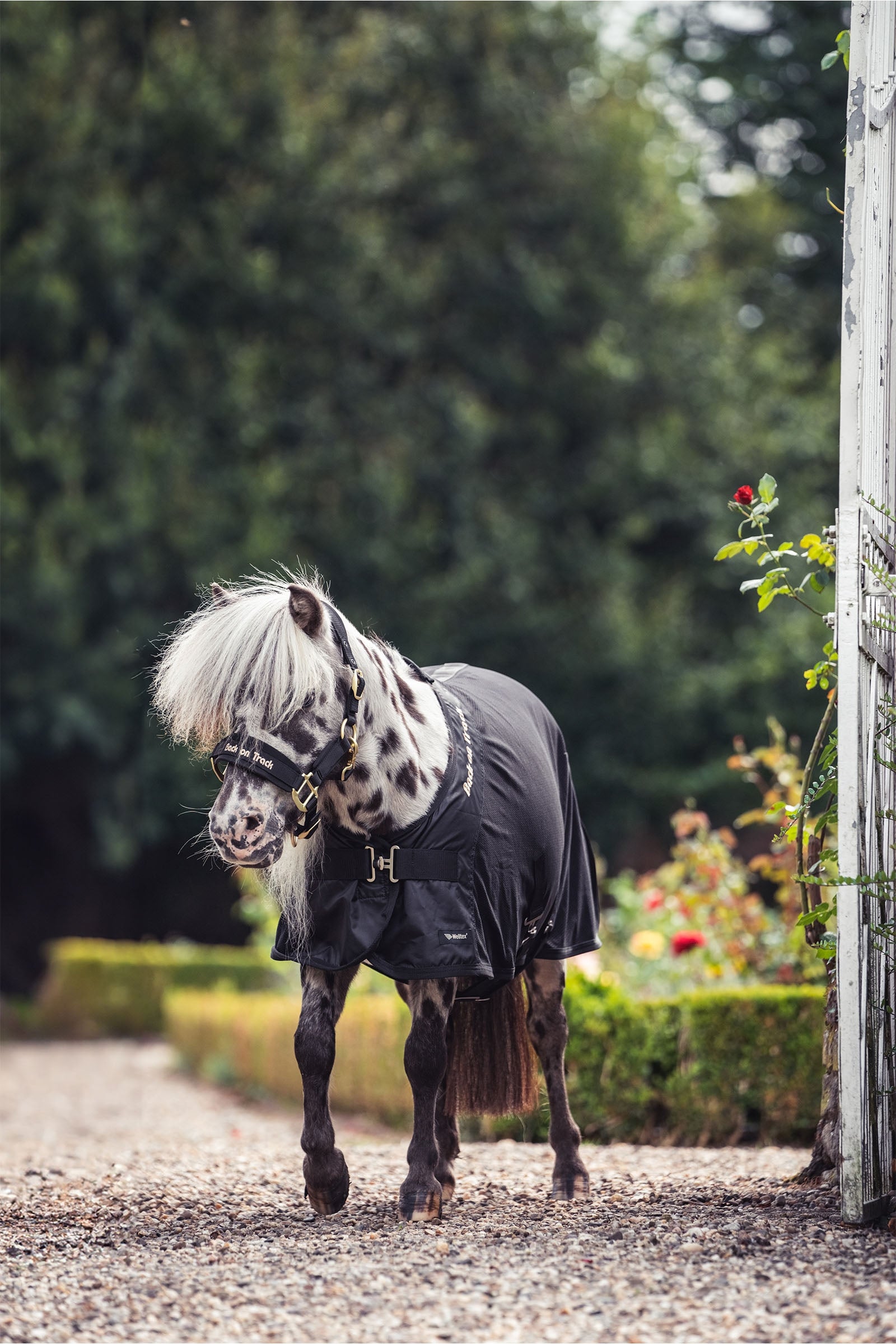 Back on Track Royal Pony Mesh Rug Deluxe Horse Rugs