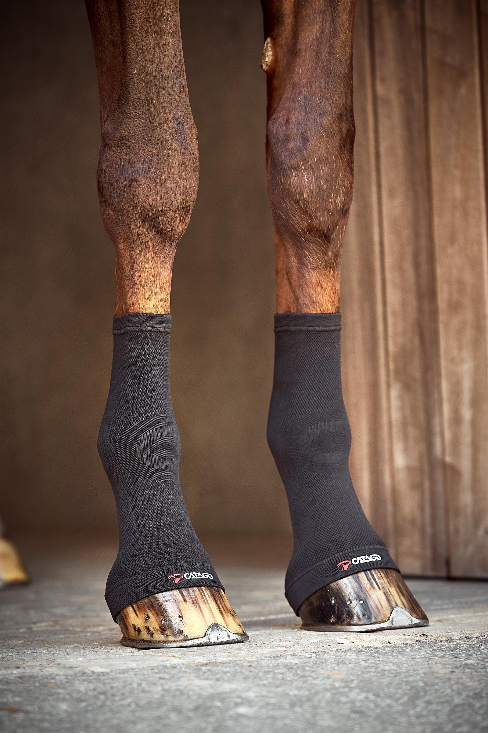 Catago FIR-Tech Compression Fetlock Socks Leg & Hoof Protection