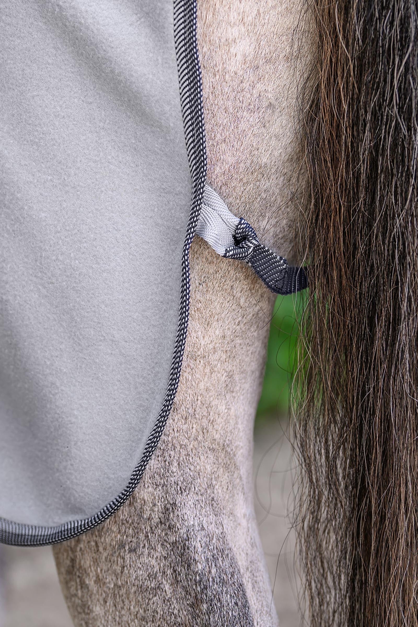 Waldhausen ECONOMIC Fleece Rug Horse Rugs